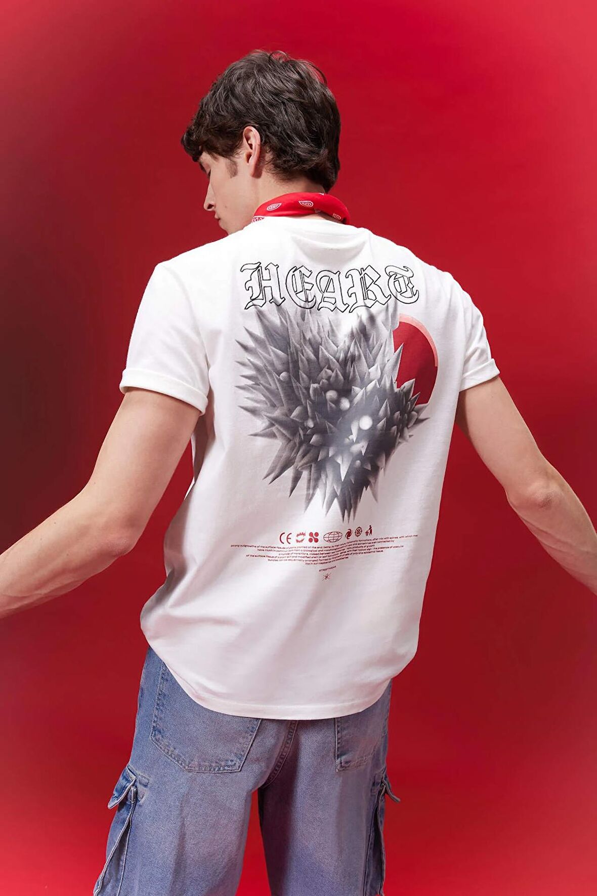 DeFacto Regular Fit Bisiklet Yaka Sırt Baskılı Kısa Kollu Tişört C3466AX24SPER105