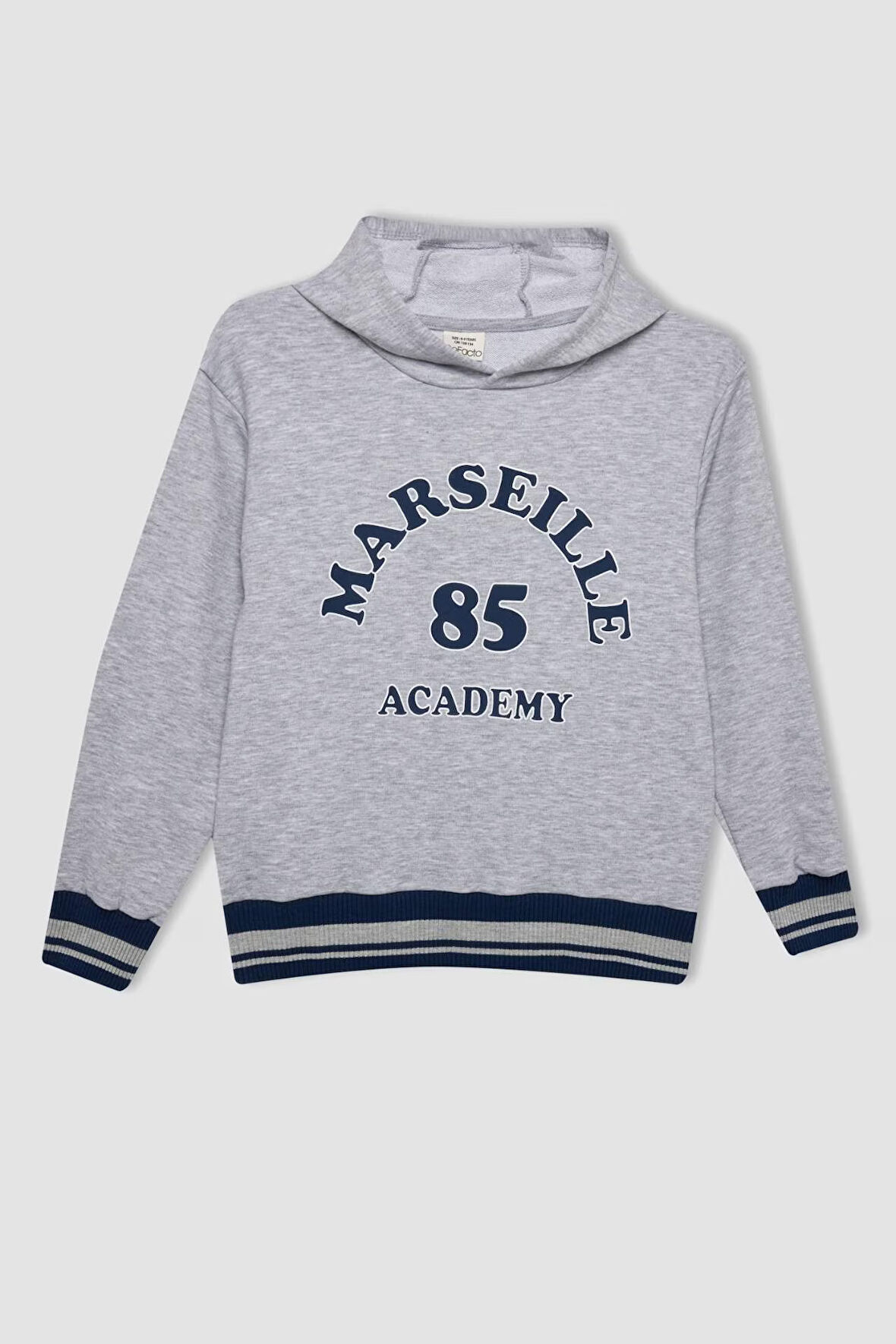 DeFacto Erkek Çocuk Gri Yazı Baskılı Kapüşonlu Kalın Sweatshirt C9788A824AUGR210