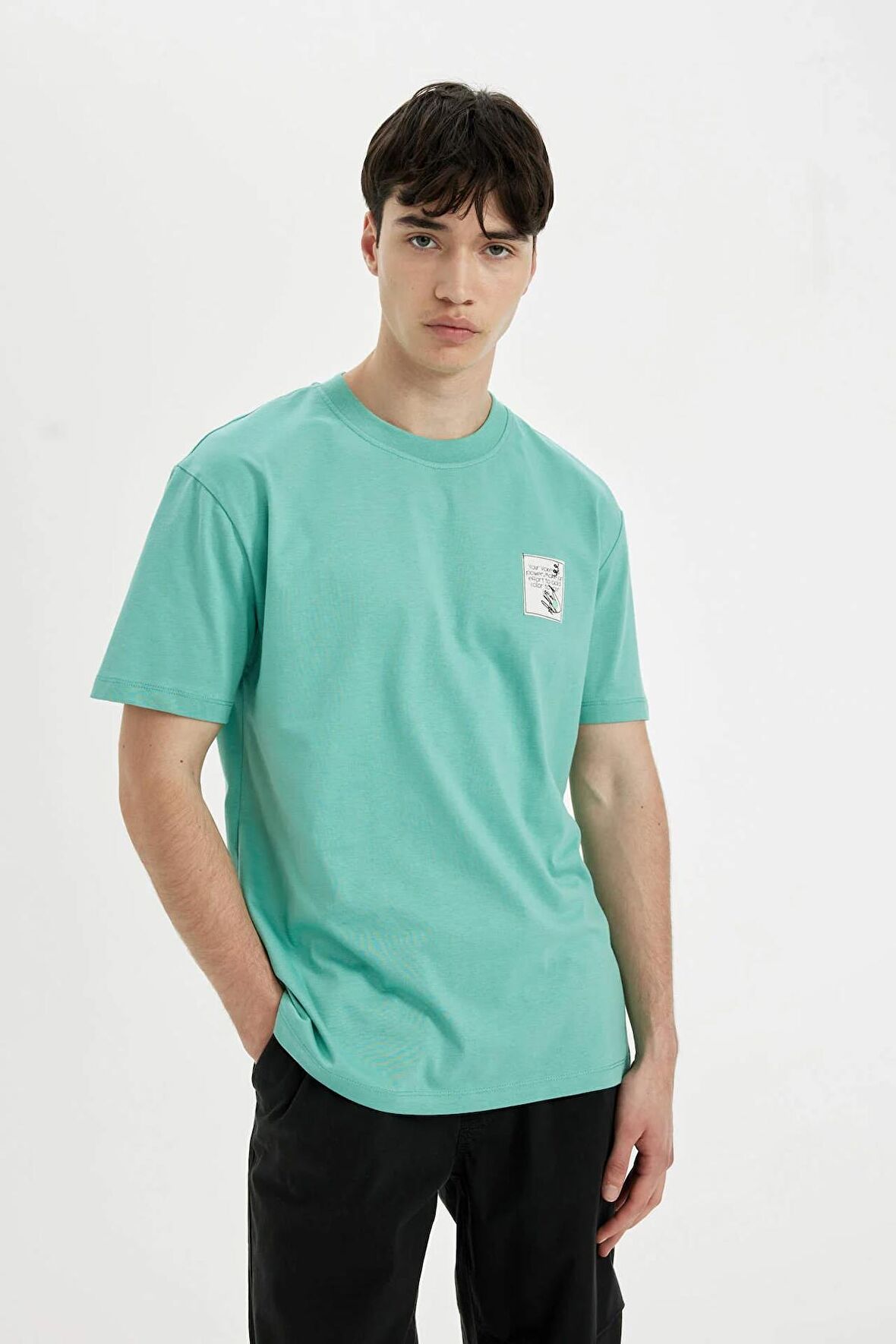 DeFacto Regular Fit Bisiklet Yaka Baskılı Kısa Kollu Tişört C2730AX24SMGN1221