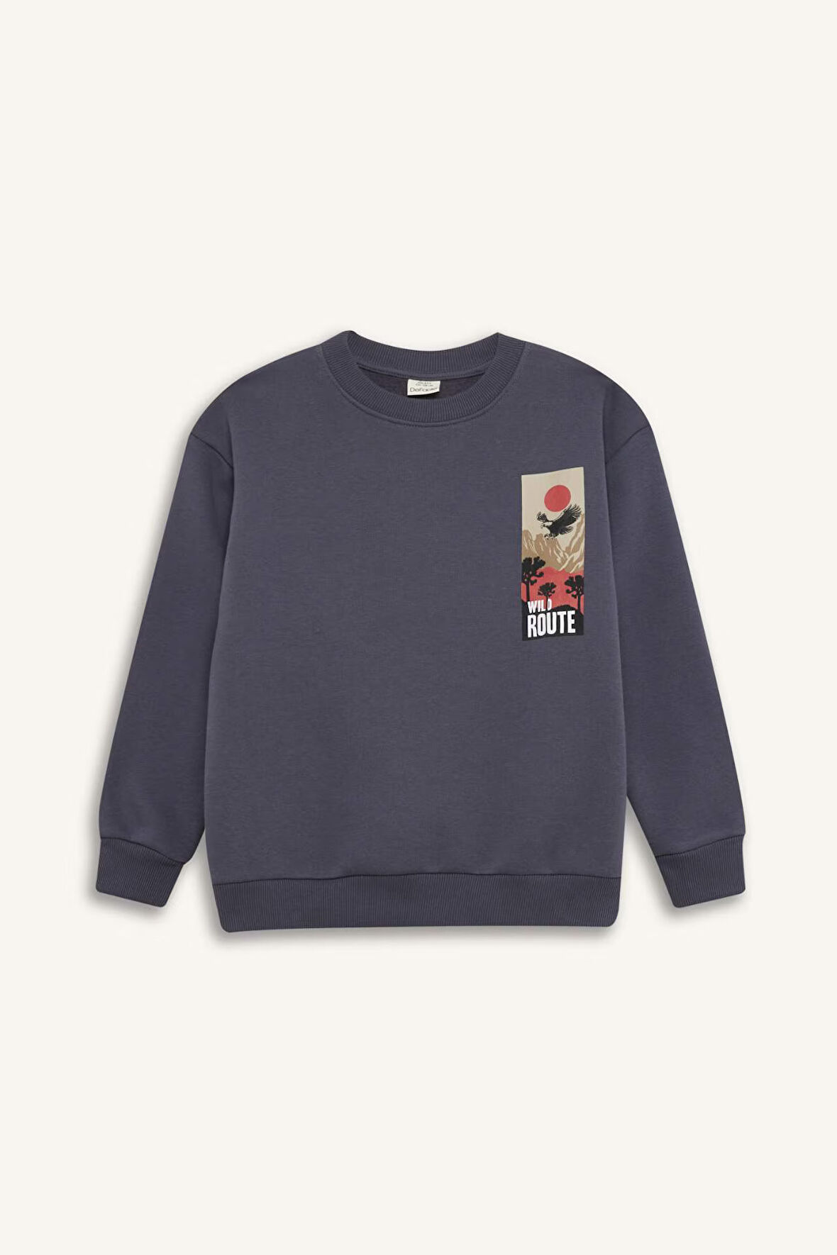 DeFacto Erkek Çocuk Oversize Geniş Kalıp Bisiklet Yaka Sırt Baskılı Sweatshirt D5787A824WNAR150
