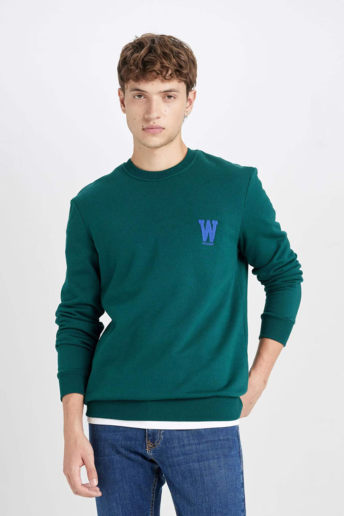 DeFacto New Regular Fit Bisiklet Yaka Baskılı Kalın Sweatshirt D3670AX24AUGN671
