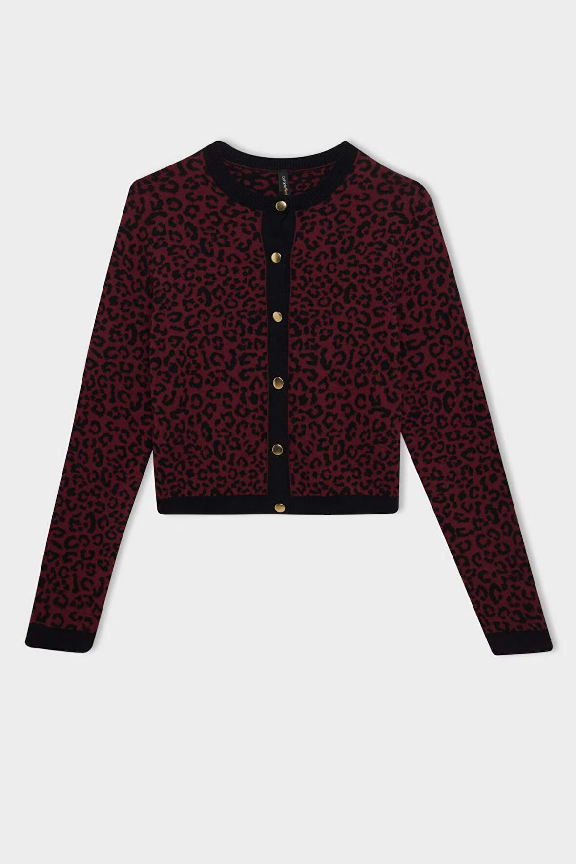 Regular Fit Bisiklet Yaka Leopar Desenli Düğme Kapamalı Triko Hırka