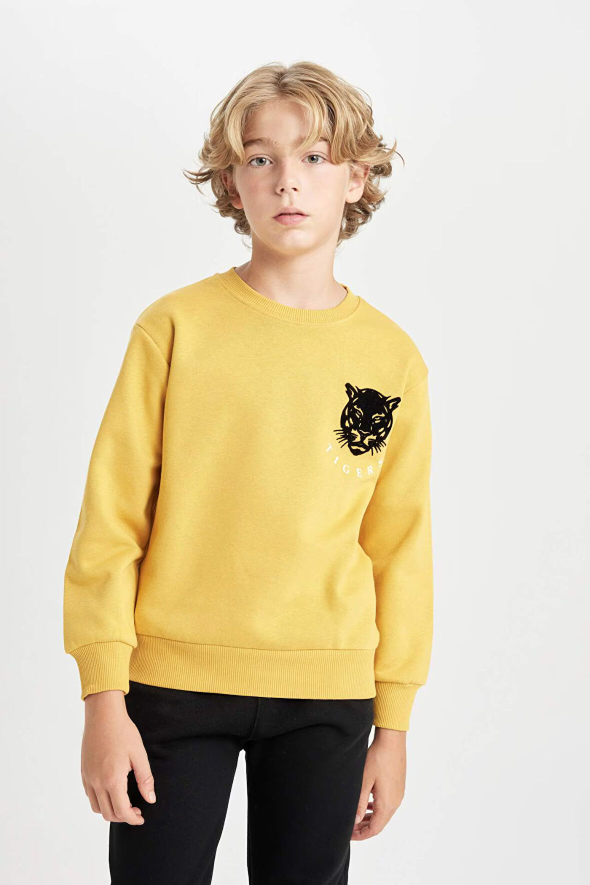 DeFacto Erkek Çocuk Sarı Bisiklet Yaka Kaplan Baskılı Sweatshirt D3096A824AUYL310