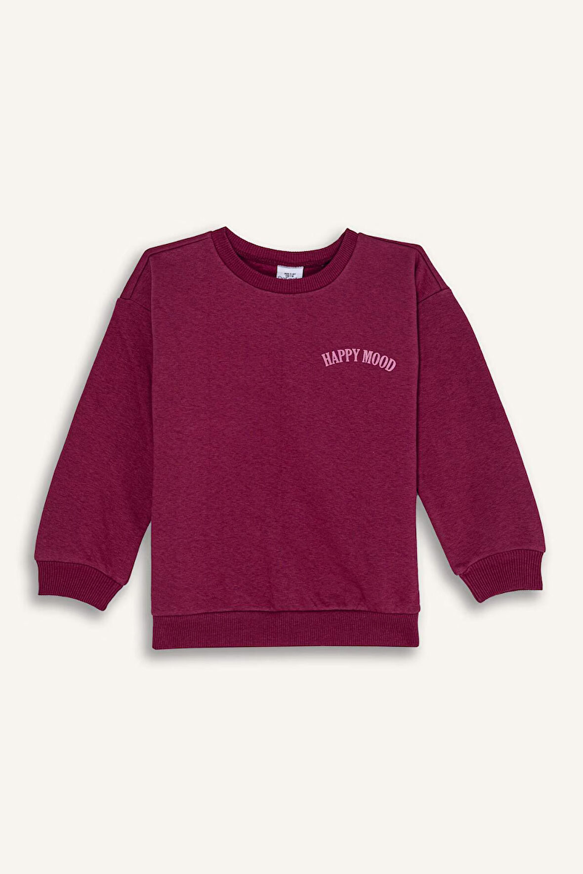DeFacto Kız Bebek Bisiklet Yaka Baskılı Kalın Sweatshirt D1539A524AUBR490