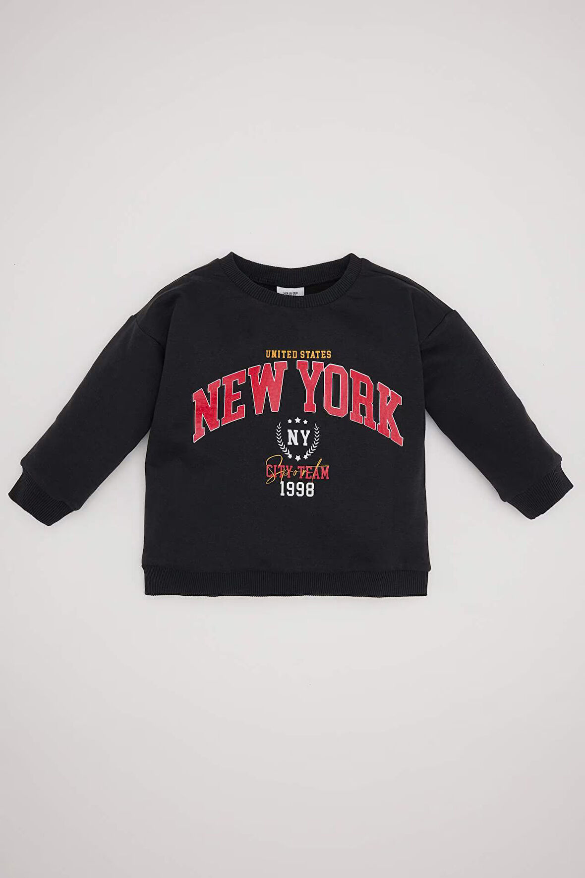 DeFacto Erkek Bebek Bisiklet Yaka Baskılı İçi Yumuşak Tüylü Sweatshirt D1264A524WNAR202