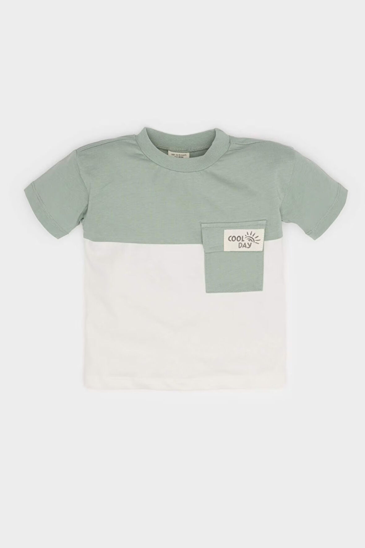 DeFacto Erkek Bebek Bisiklet Yaka Renk Bloklu Kısa Kollu Tişört B9261A525SMGN1107