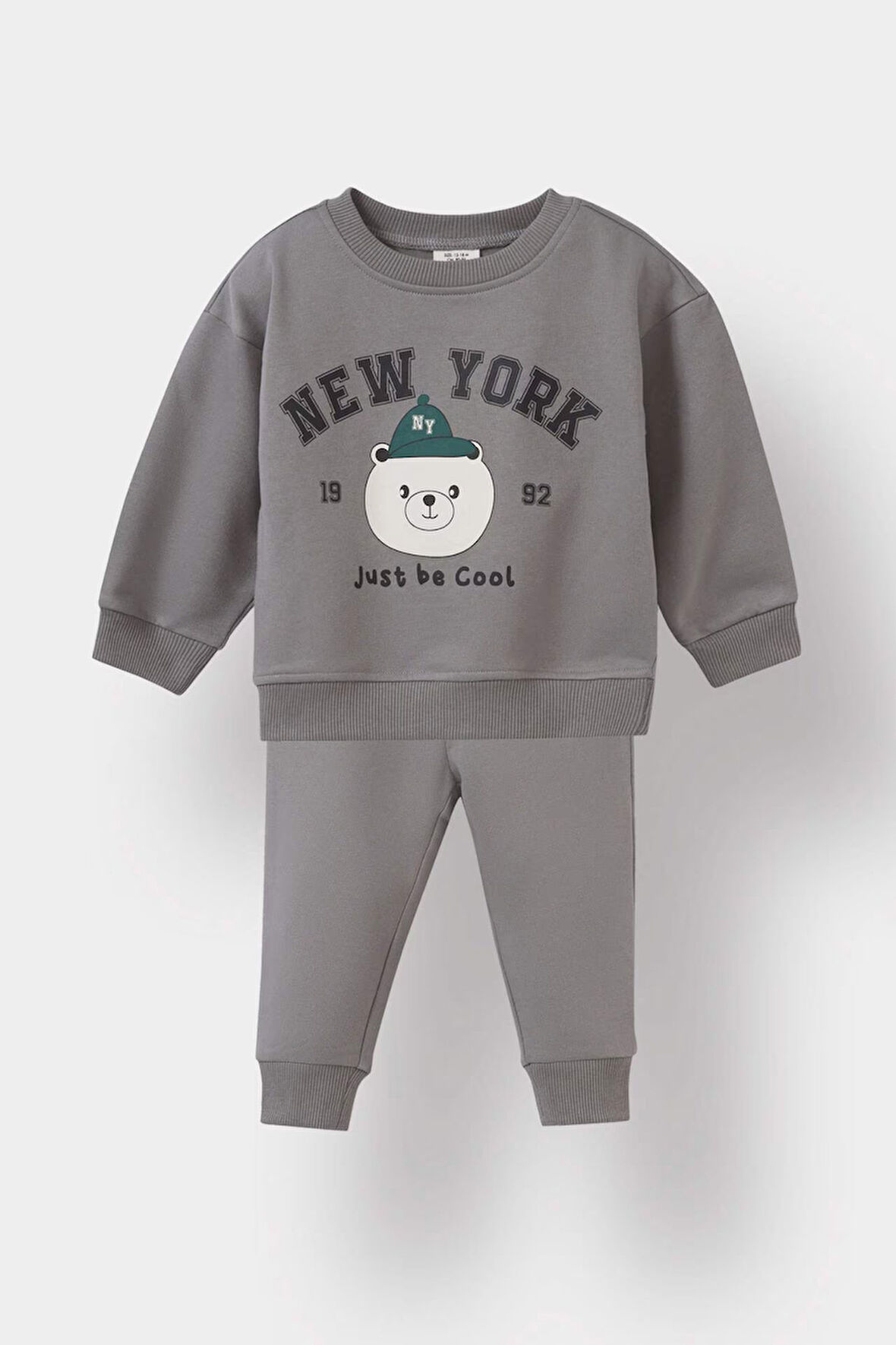 Erkek Bebek Hayvan Desenli İnce Sweatshirt Kumaşı 2'li Takım