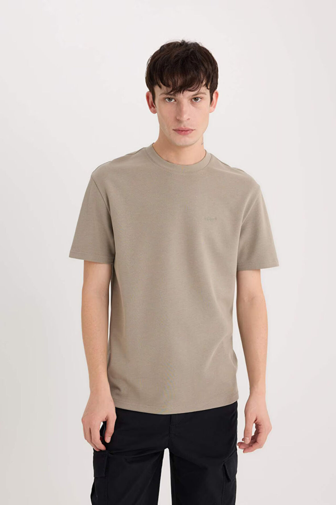 DeFacto Regular Fit Bisiklet Yaka Ütü Gerektirmeyen Nefes Alabilen Baskılı Kısa Kollu Ağır Kumaş Tişört D5514AX25SPKH465