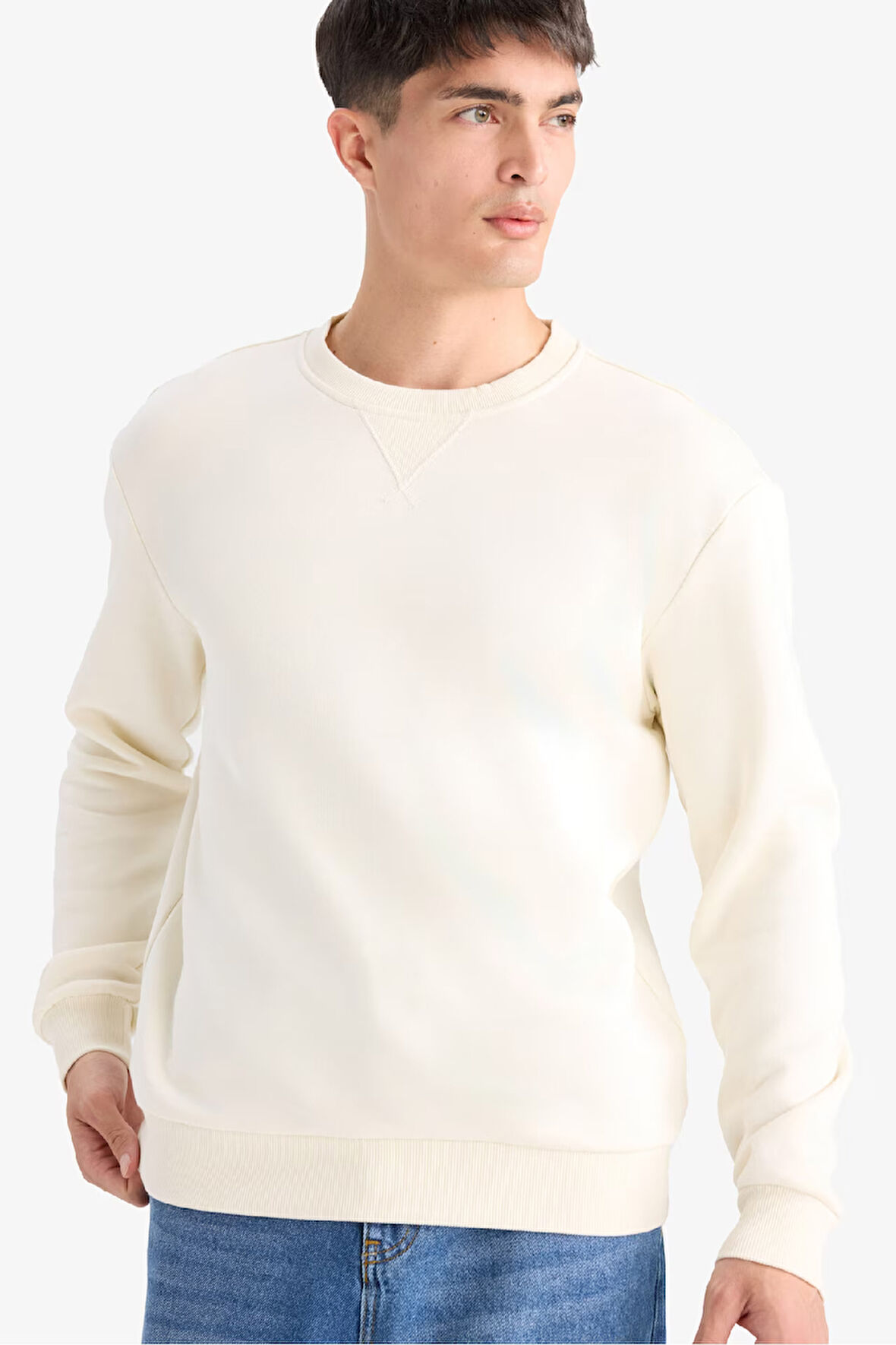 Regular Fit Bisiklet Yaka Basic Düz Kalın Sweatshirt