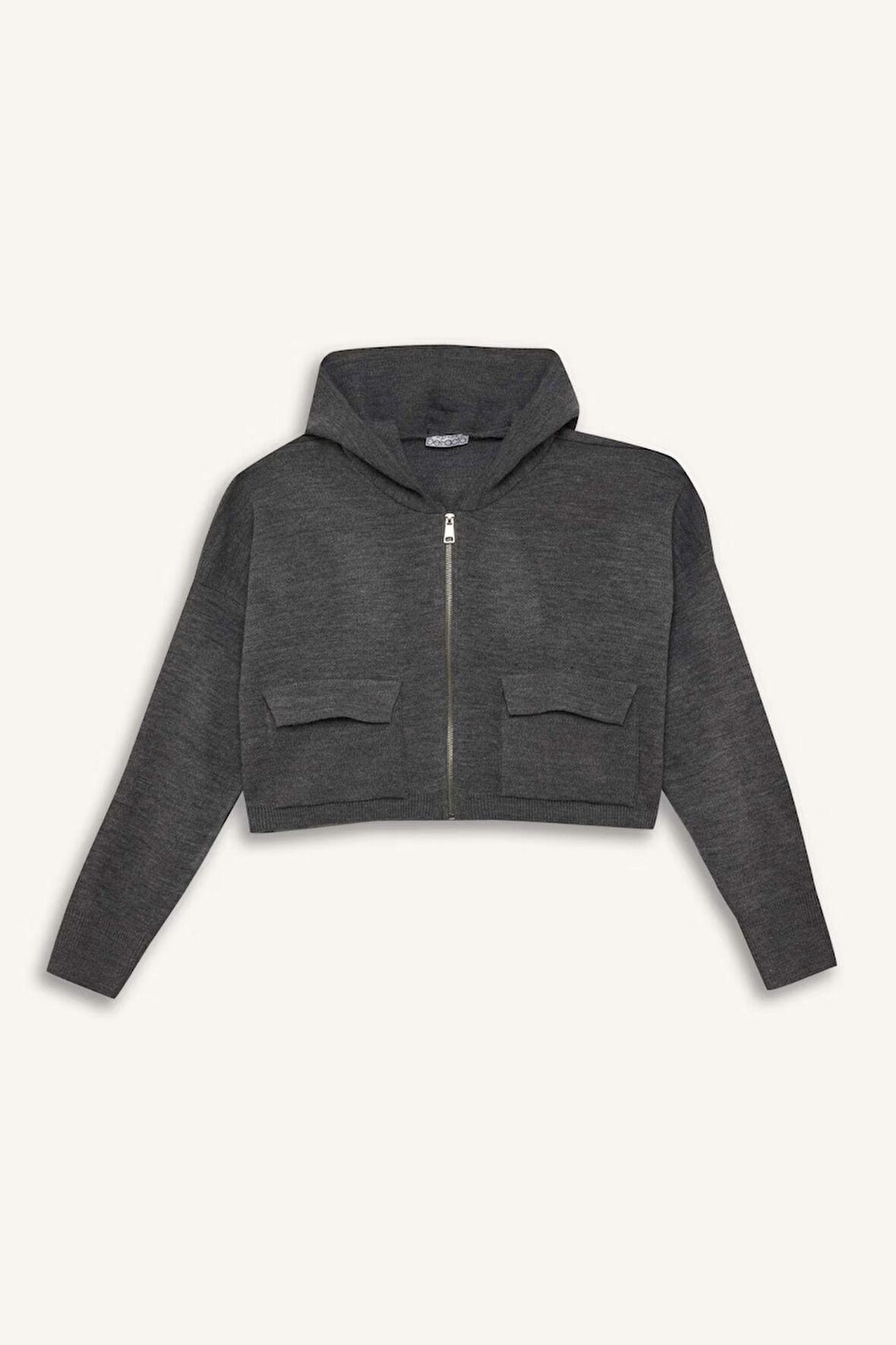 DeFacto Regular Fit Kapüşonlu Basic Düz Fermuarlı Triko Hırka E2270AXNSGR105