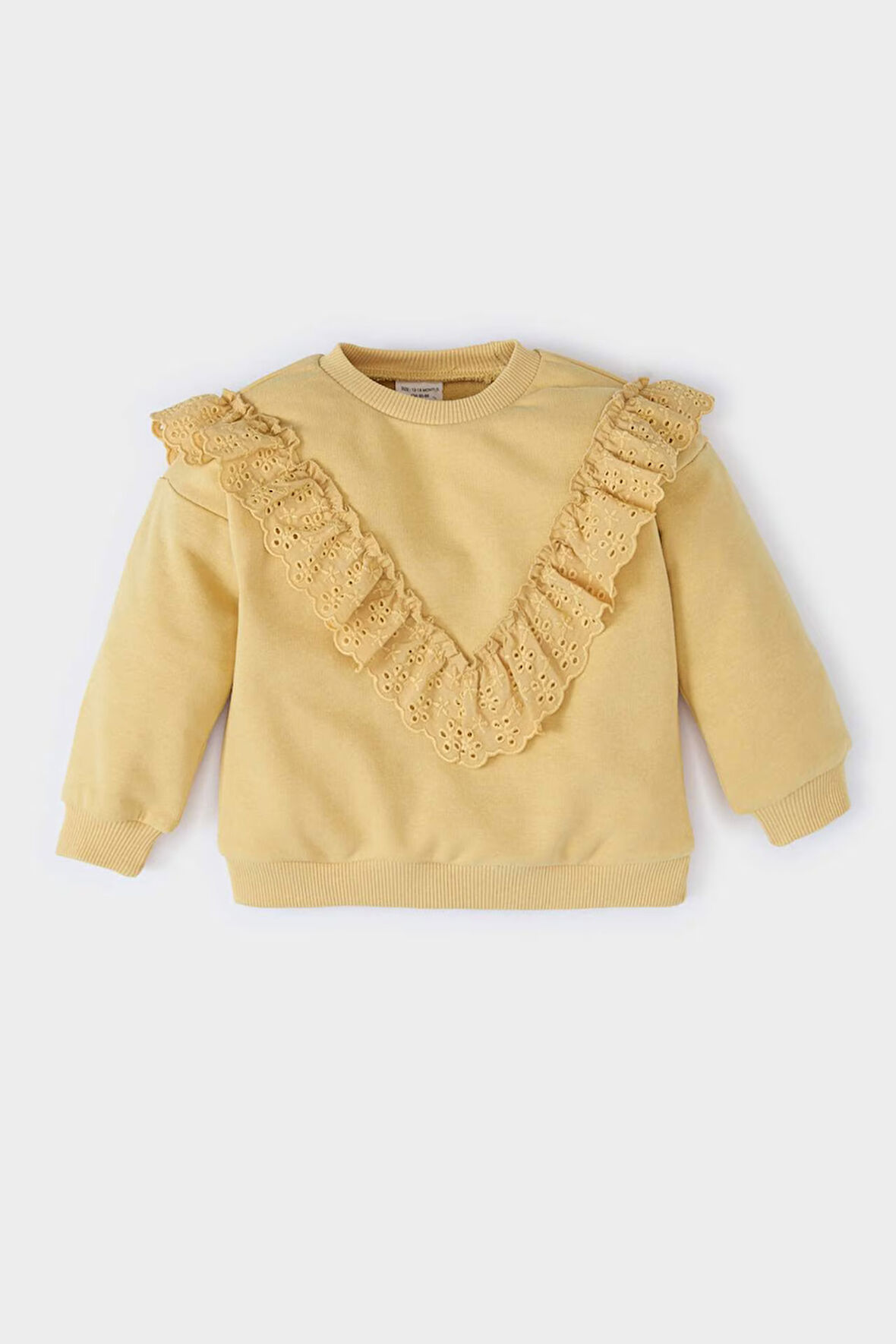 DeFacto Kız Bebek Bisiklet Yaka İçi Yumuşak Tüylü Sweatshirt D6678A524WNYL516