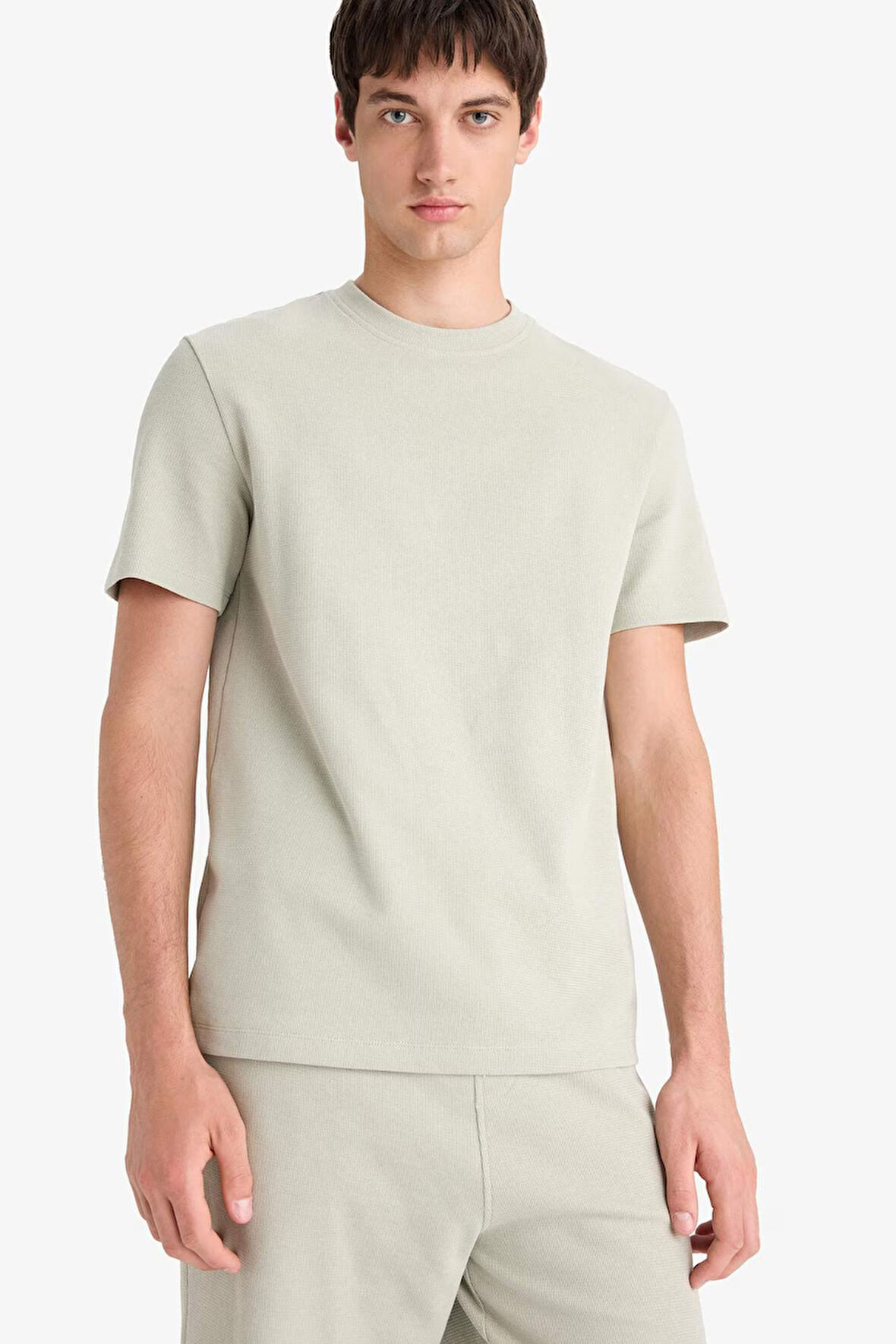 DeFacto Regular Fit Bisiklet Yaka Kısa Kollu Pamuklu Ağır Kumaş Tişört E2587AX25SMKH478