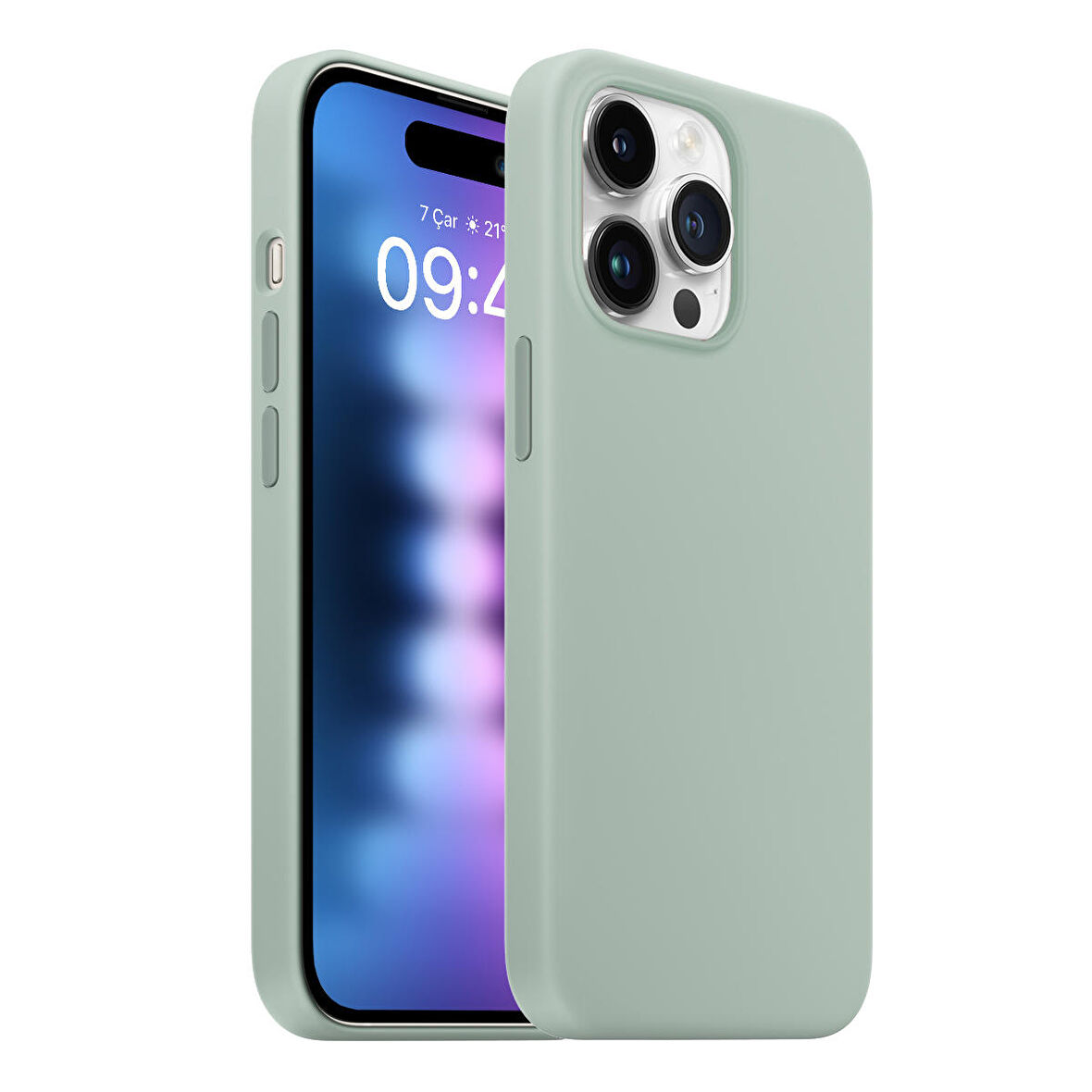 Buff iPhone 15 Pro Max Rubber Fit Kılıf Succulent