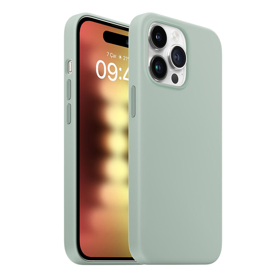 Buff iPhone 15 Pro Rubber Fit Kılıf Succulent