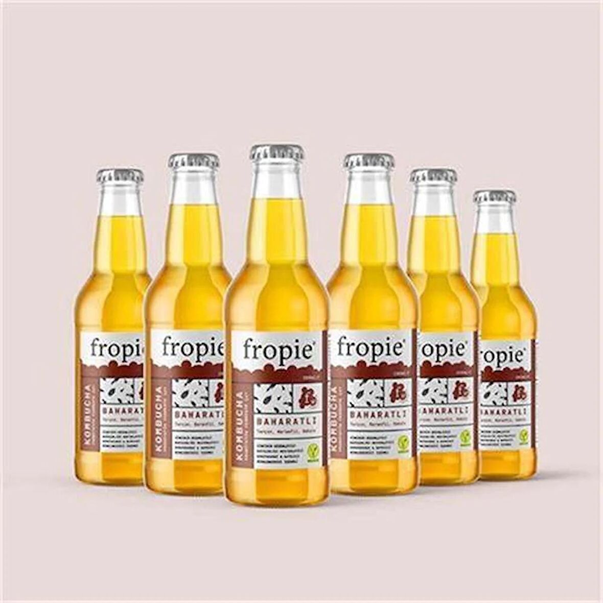 Probiyotik Kombucha Baharatlı 200 ml x 6 Adet