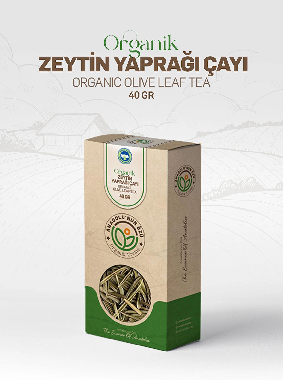 ZEYTİN YAPRAĞI ÇAYI