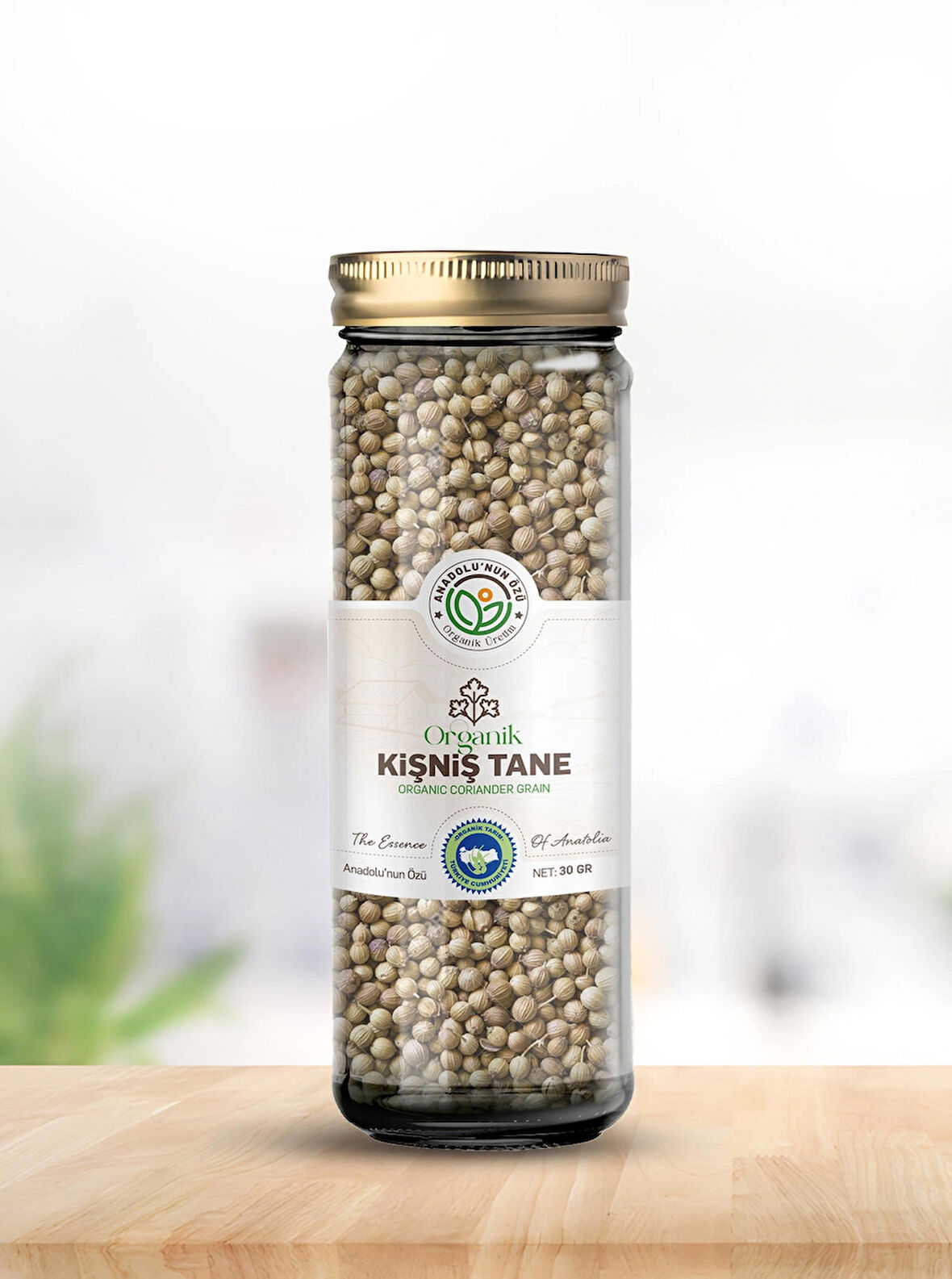 KİŞNİŞ TANE