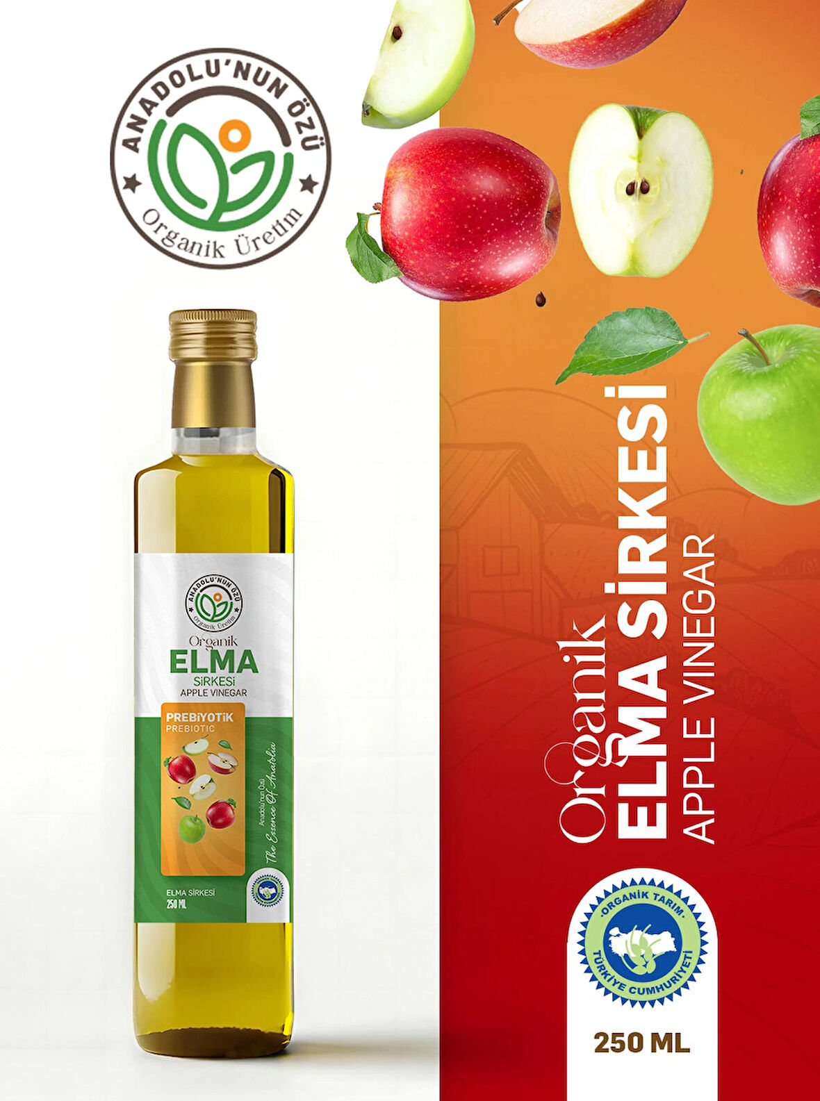 SUSUZ ELMA SİRKESİ