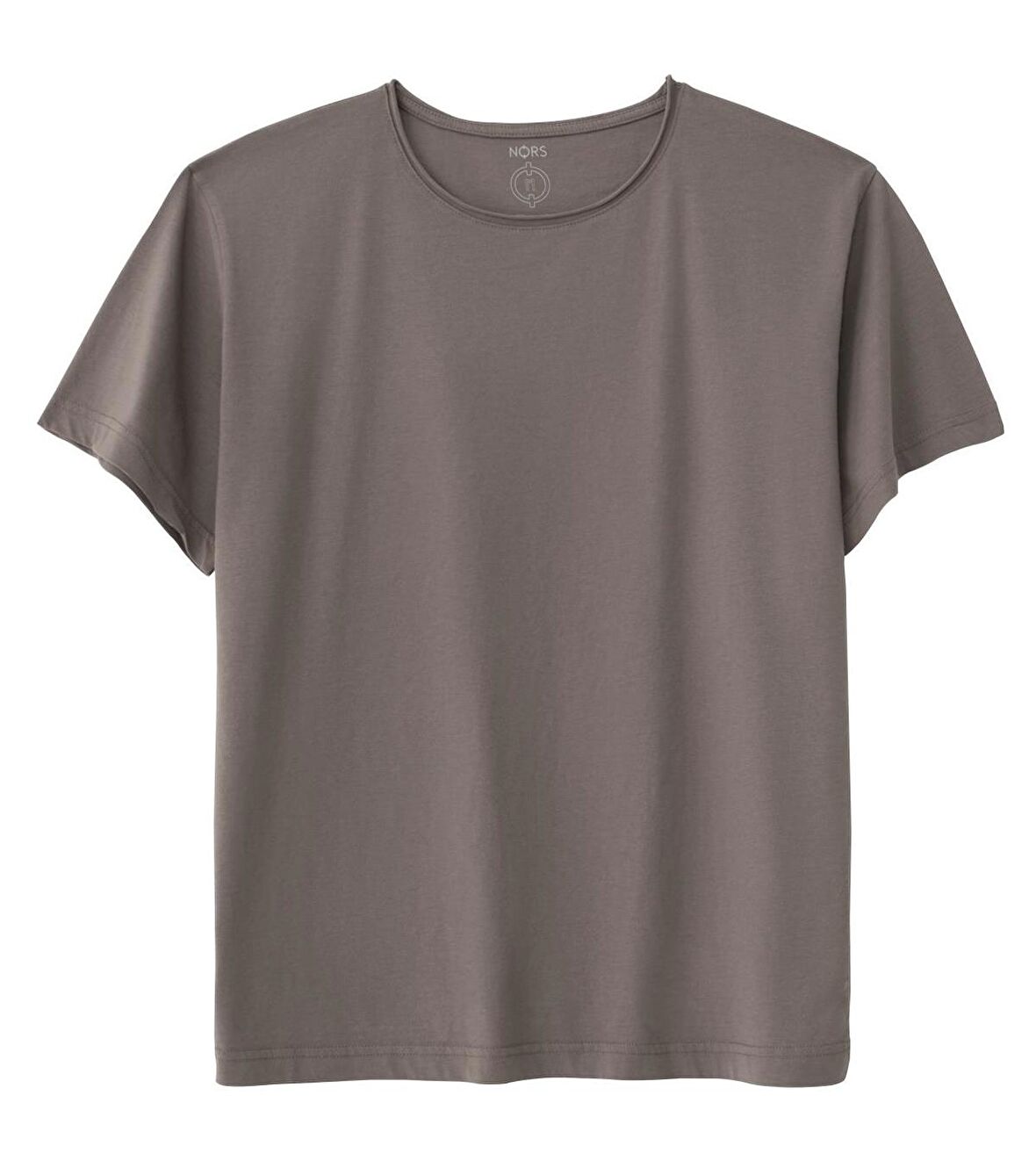 Regular Loose Tshirt - Vizon
