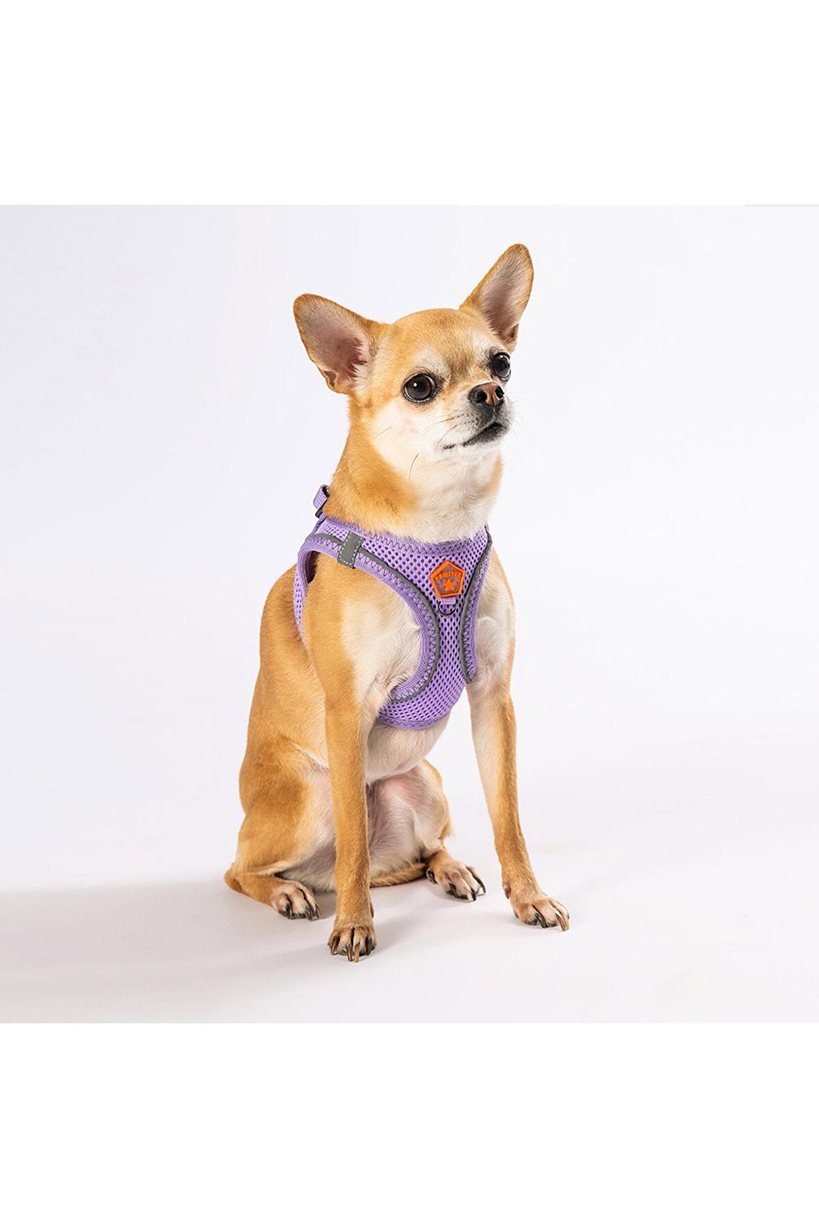 Pawstar Lila Air-mesh Göğüs Tasması Kedi Köpek Göğüs Tasması Medium