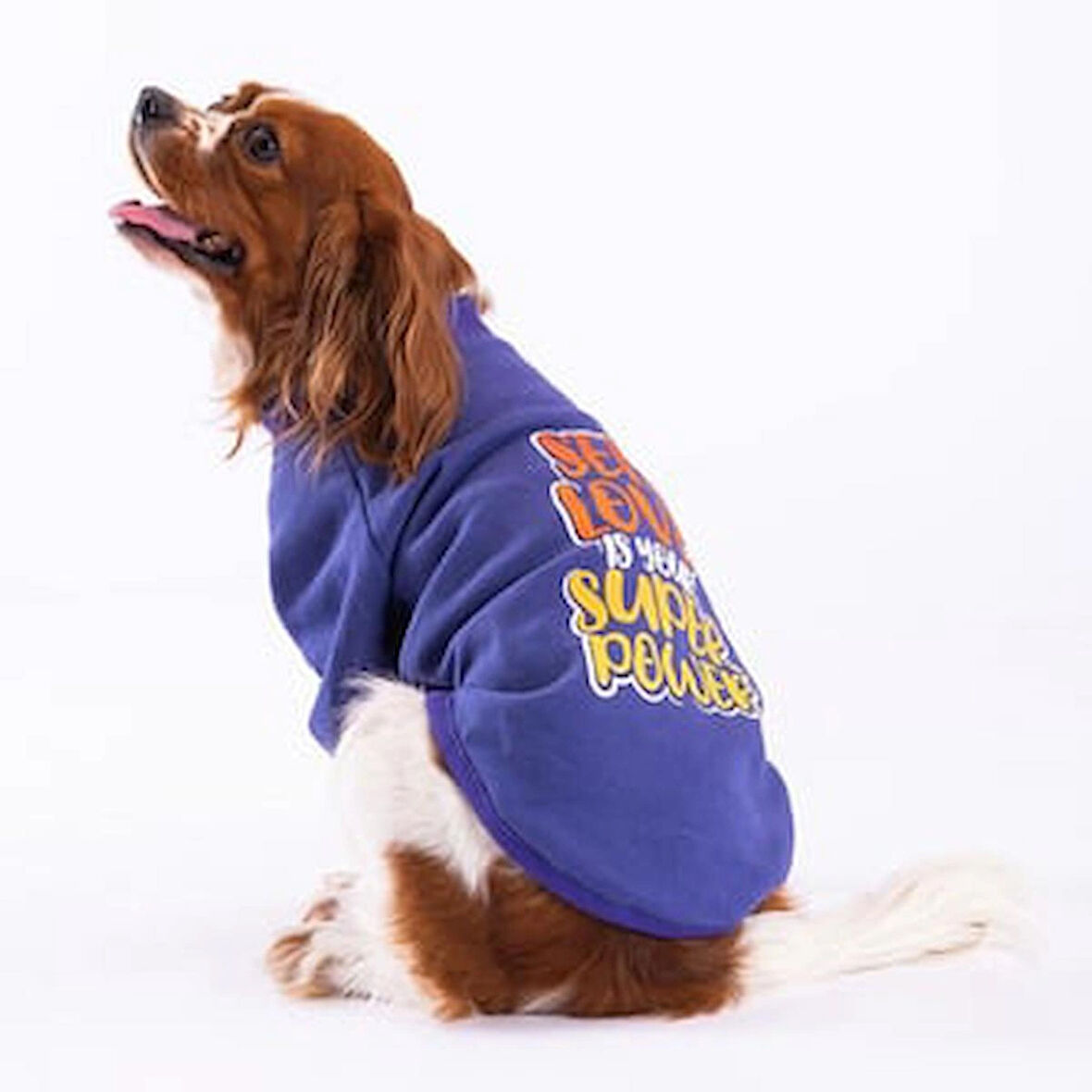 Pawstar Mor Power Polarlı Küçük Irk Köpek Sweatshirtü