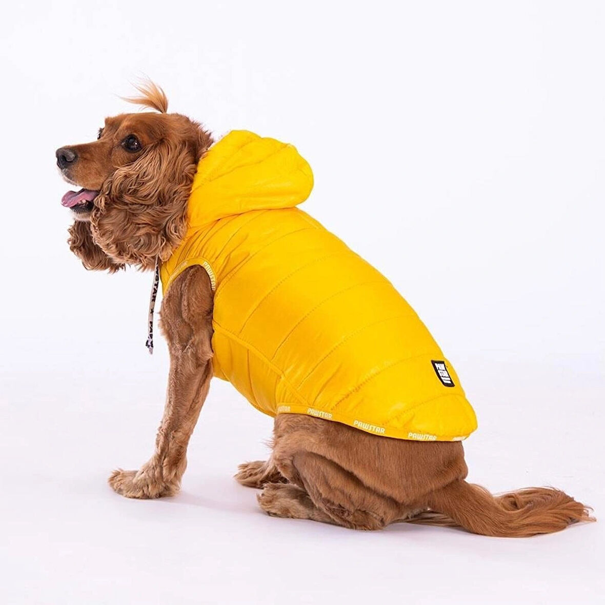 Pawstar Railway Sarı Su İtici Küçük Irk Köpek Yelek Yağmurluk