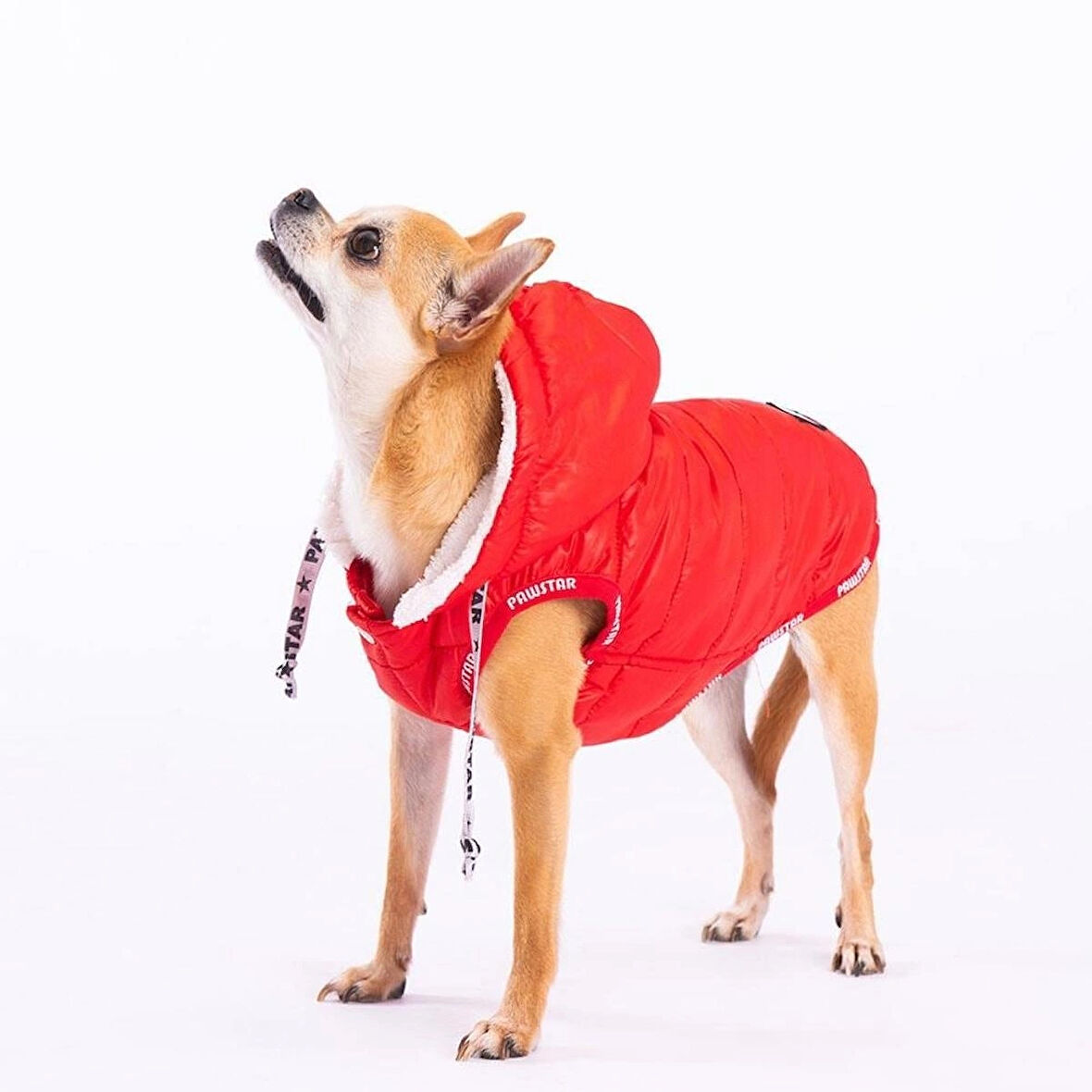 Pawstar Railway Red Su İtici Küçük Irk Köpek Yelek Yağmurluk