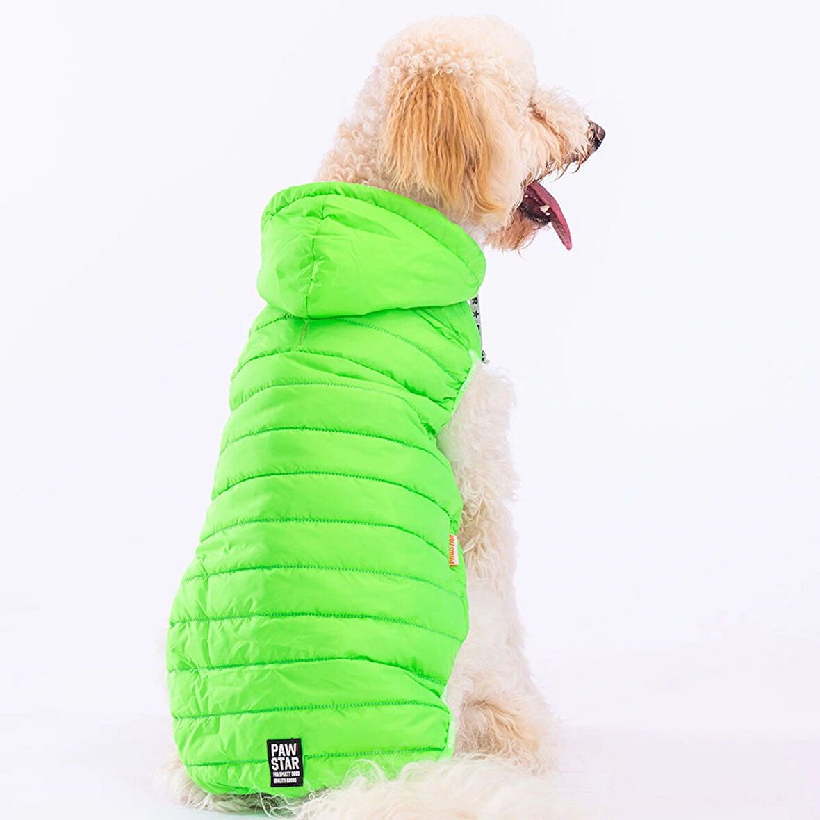 Pawstar Railway Neon Green Su İtici Orta-Büyük Irk Köpek Yelek Yağmurluk