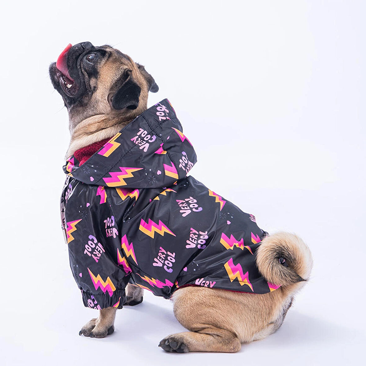 Pawstar Cool Polarlı Su Geçirmez Küçük Irk Köpek Yağmurluğu