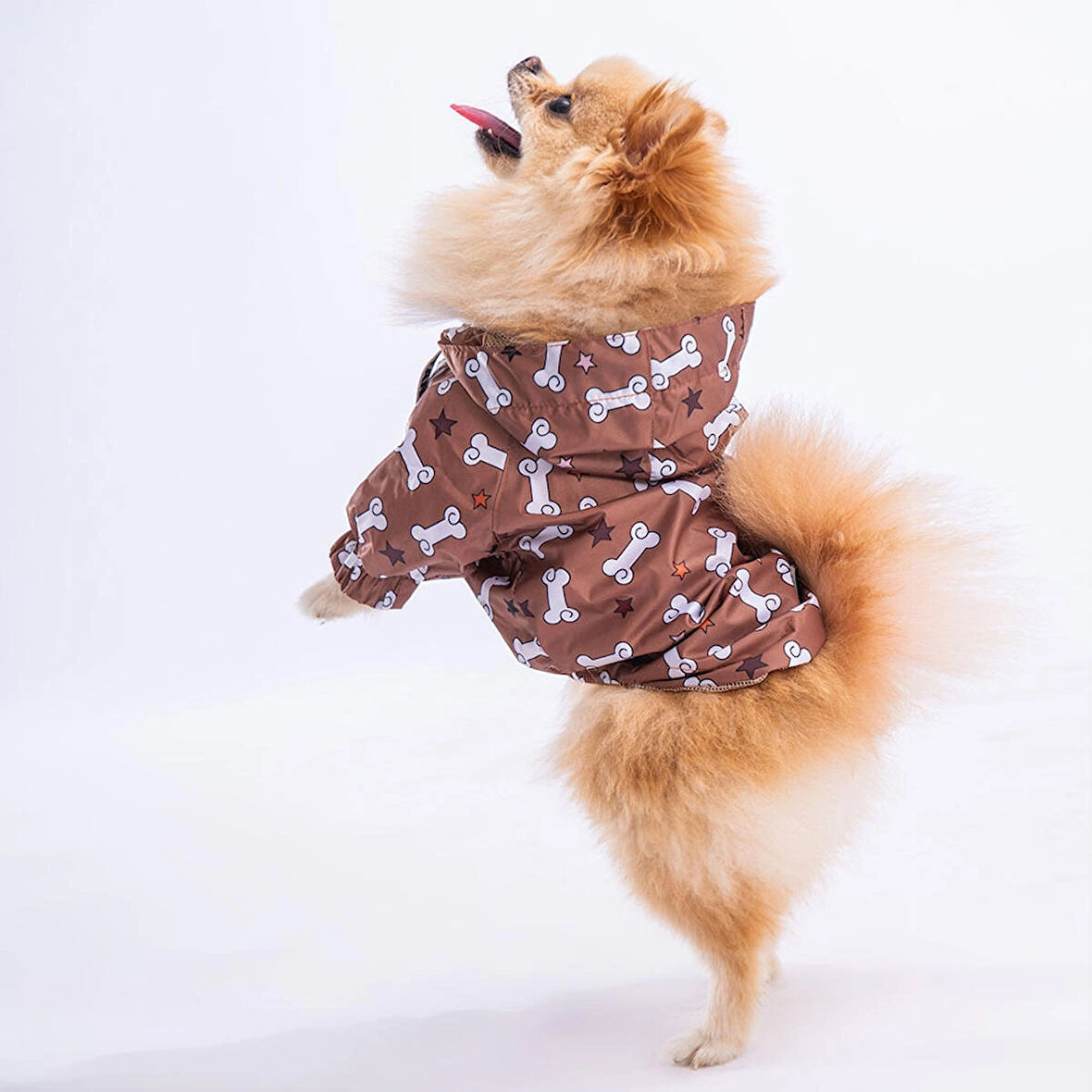 Pawstar StellaOs Fileli Su Geçirmez Küçük Irk Köpek Yağmurluğu