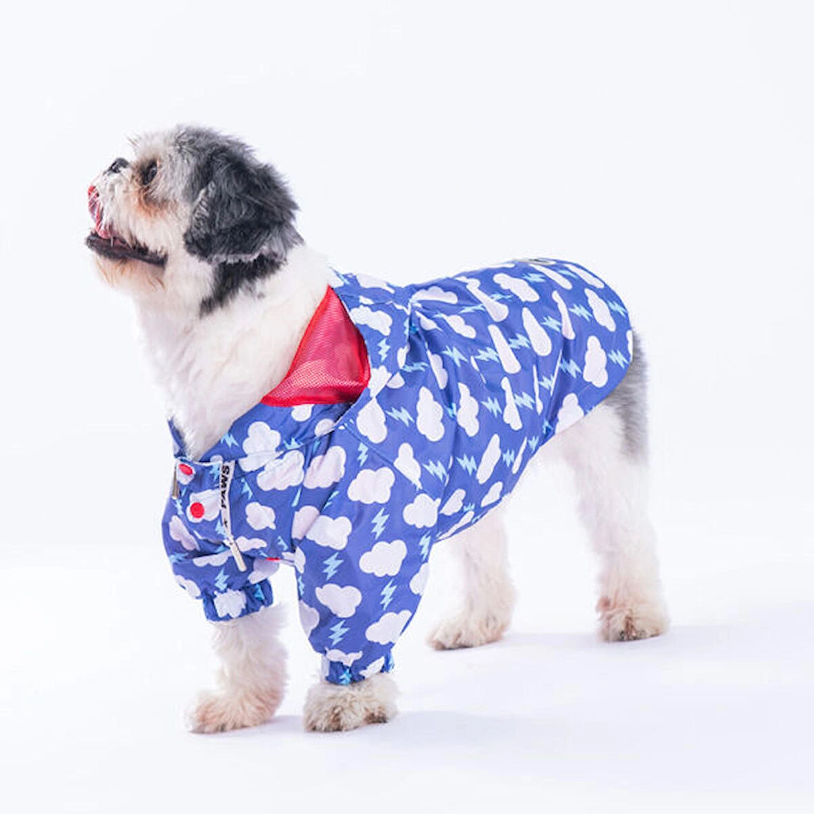 Pawstar Tonitruum Fileli Su Geçirmez Küçük Irk Köpek Yağmurluğu