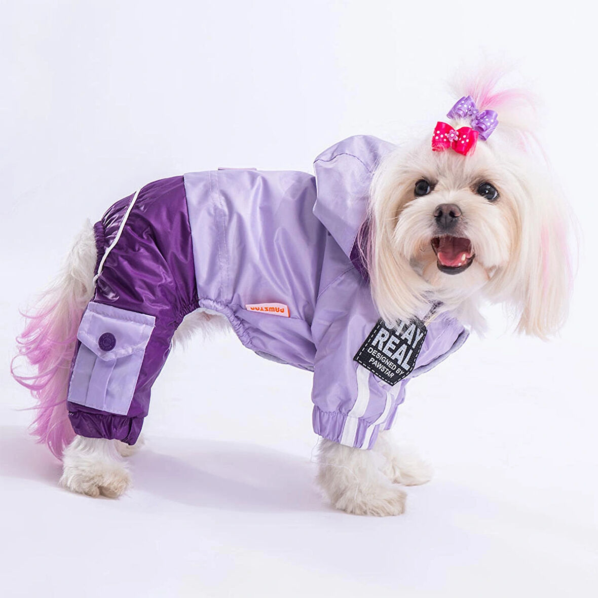 Pawstar BiColor Lila-Mor Polarlı Su Geçirmez Küçük Irk Köpek Yağmurluk Tulum