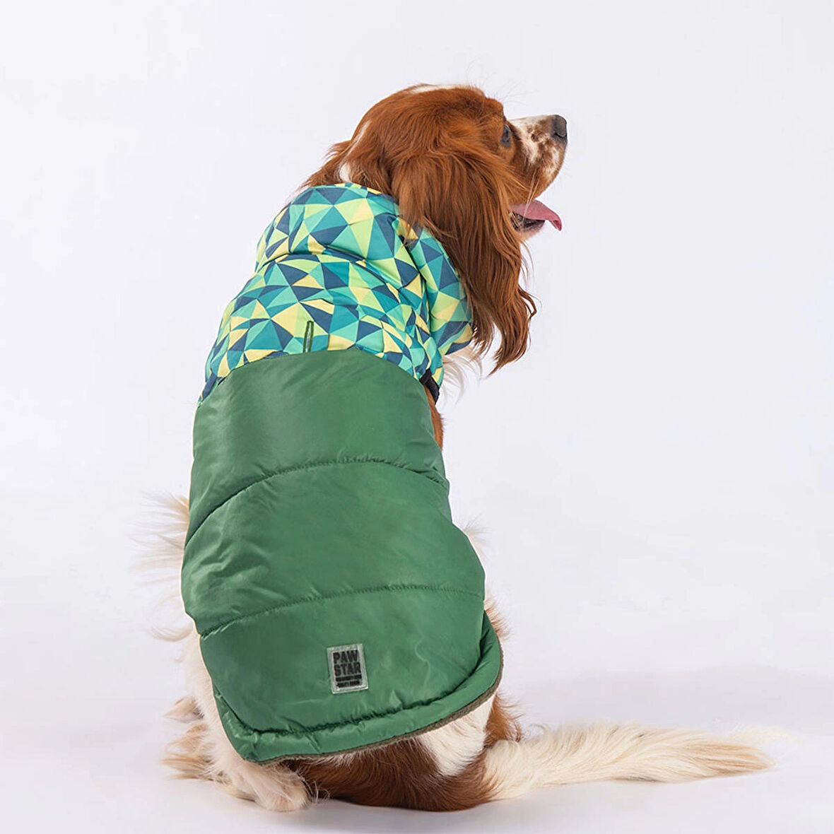 Pawstar Yeşil Diametro Su Geçirmez Küçük Irk Köpek Yağmurluğu