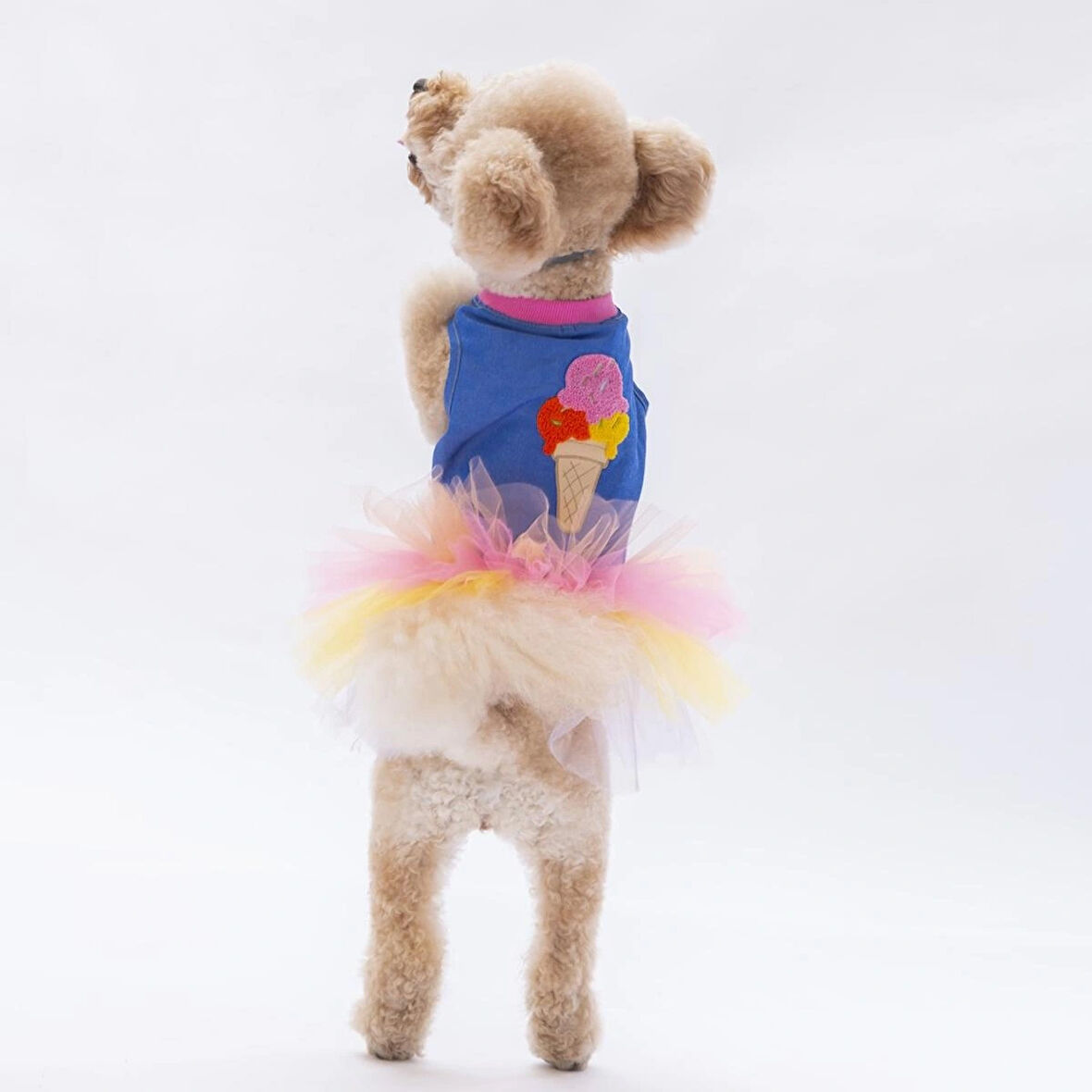 Pawstar Ice Cream Tütülü Kedi ve Küçük Irk Köpek Elbisesi