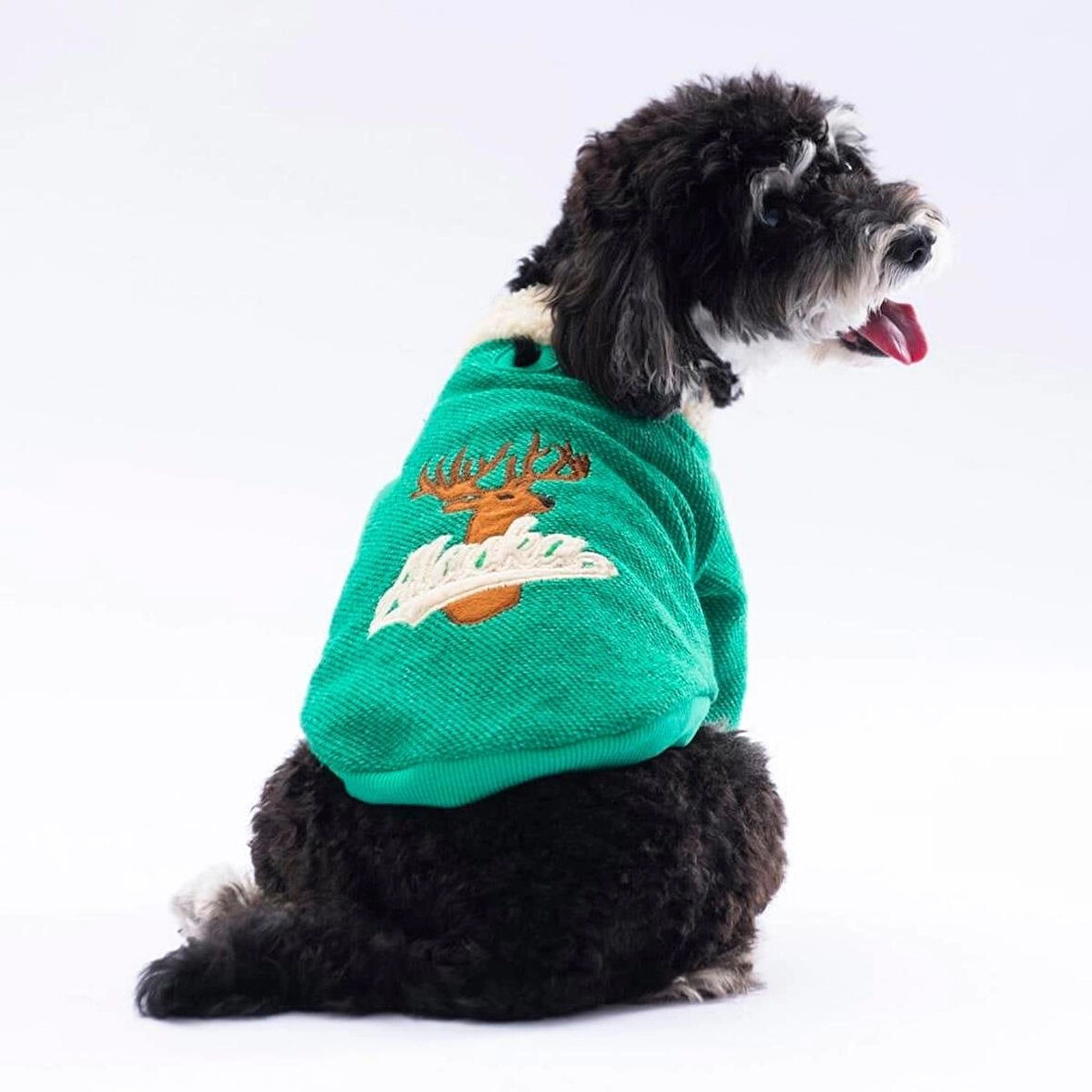 Pawstar Yeşil Alaska Esnek, Küçük Irk Triko Köpek Trikosu