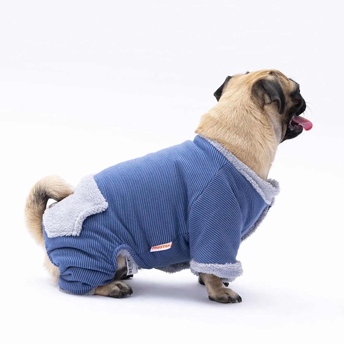 Pawstar Mavi Alabama Küçük Irk Köpek Tulumu