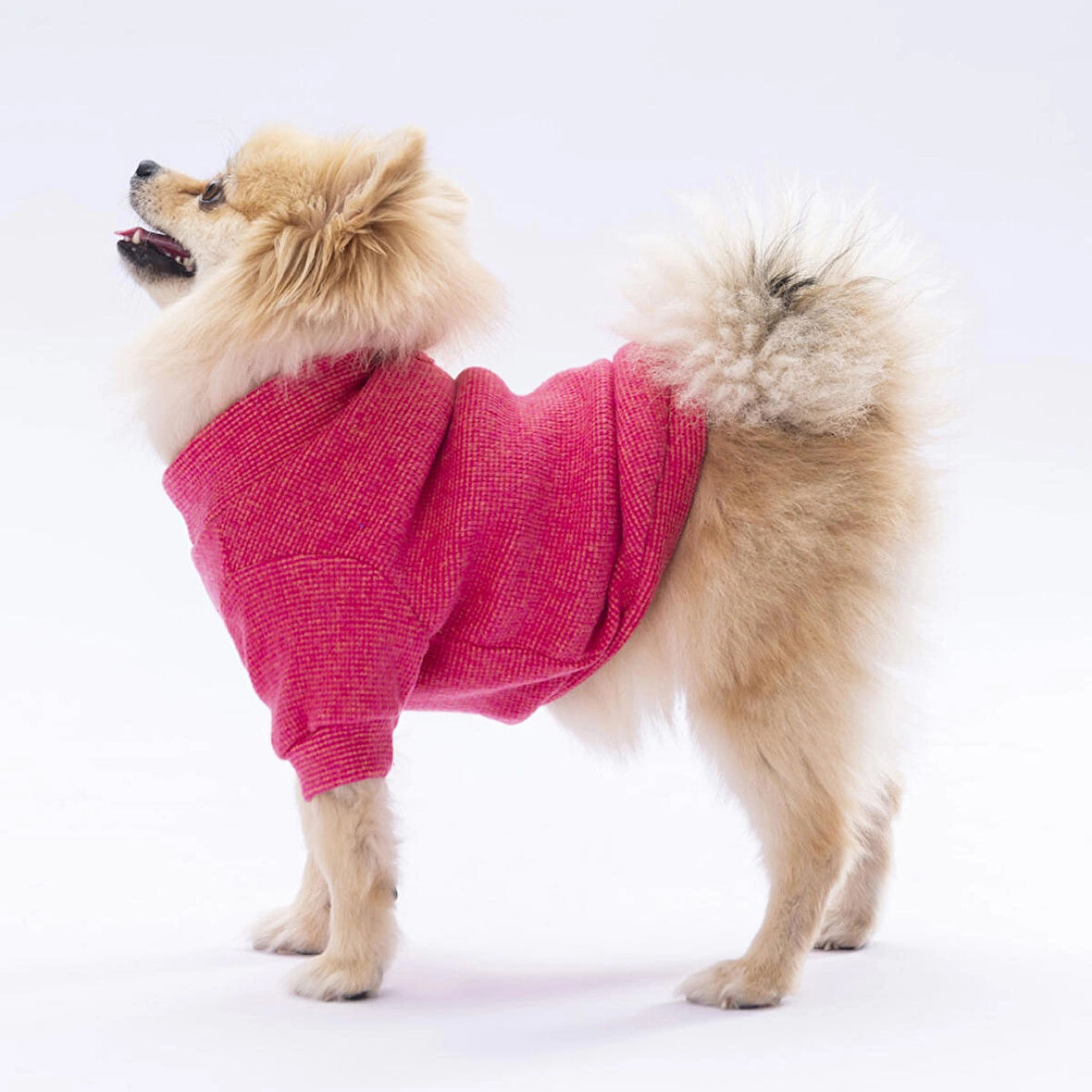 Pawstar Pembe Merino Esnek, Küçük Irk Triko Köpek Kazağı