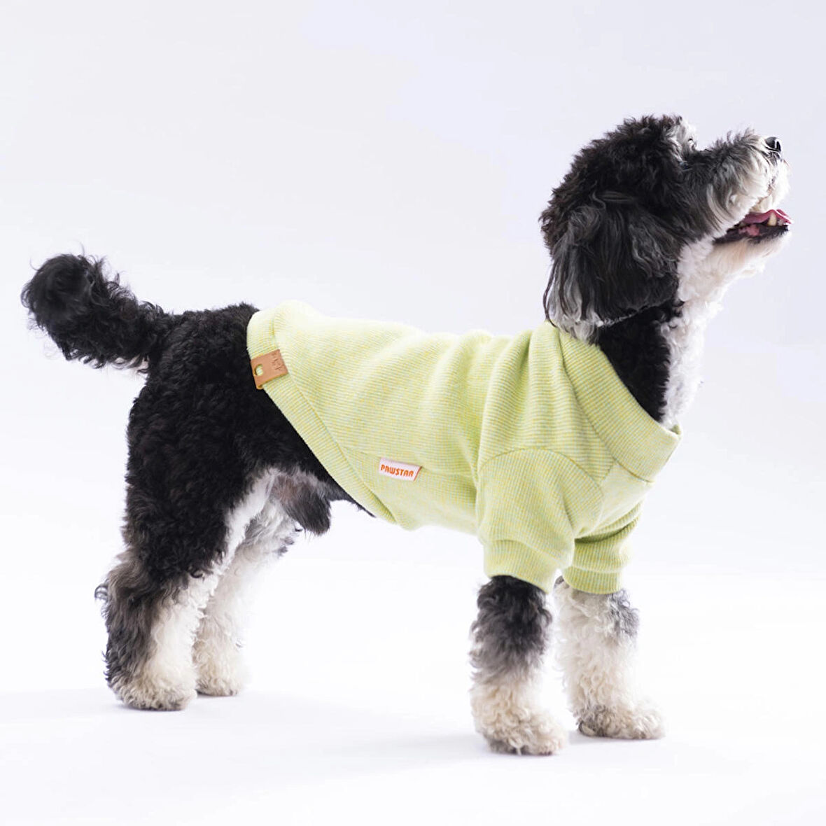Pawstar Uçuk Sarı Merino Esnek, Küçük Irk Triko Köpek Kazağı