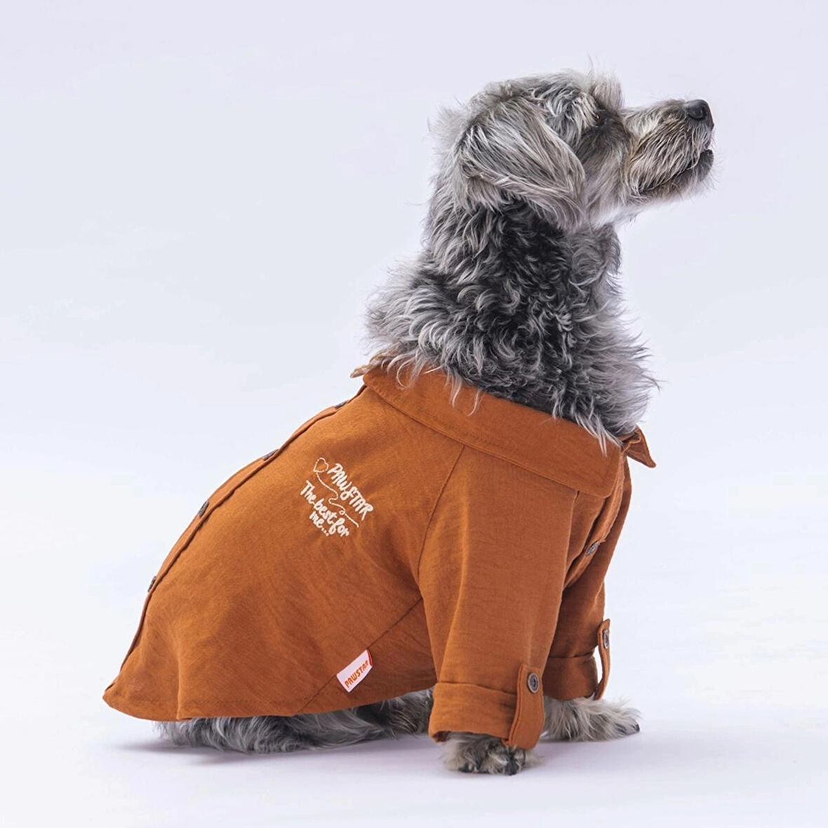 Pawstar Kahve Linen Look Kedi ve Küçük Irk Köpek Gömleği