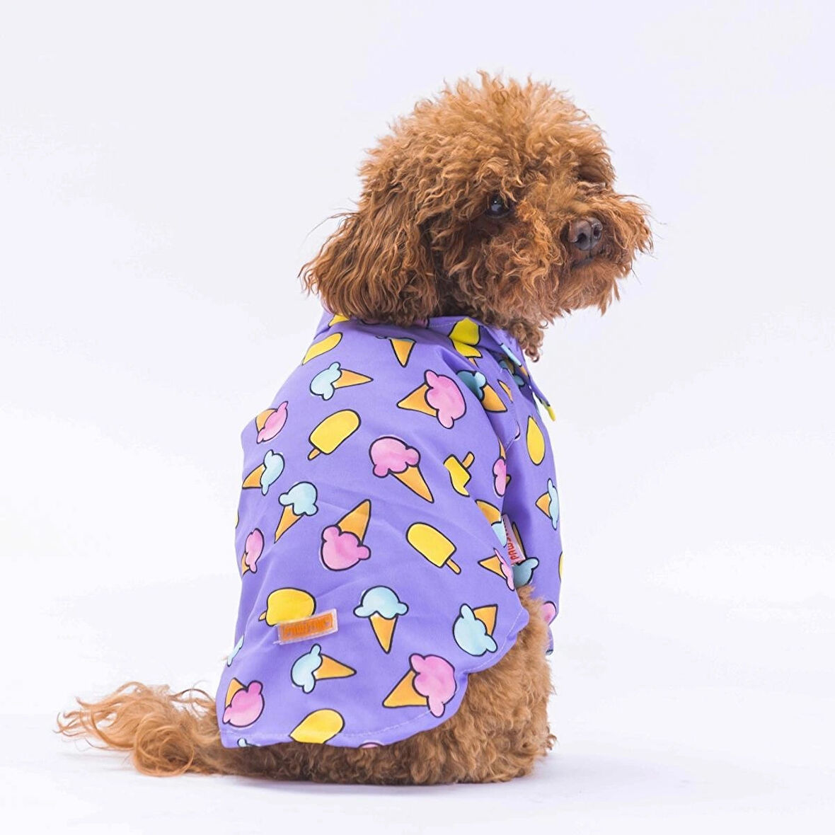 Pawstar Ice Cream Kedi ve Küçük Irk Köpek Gömleği