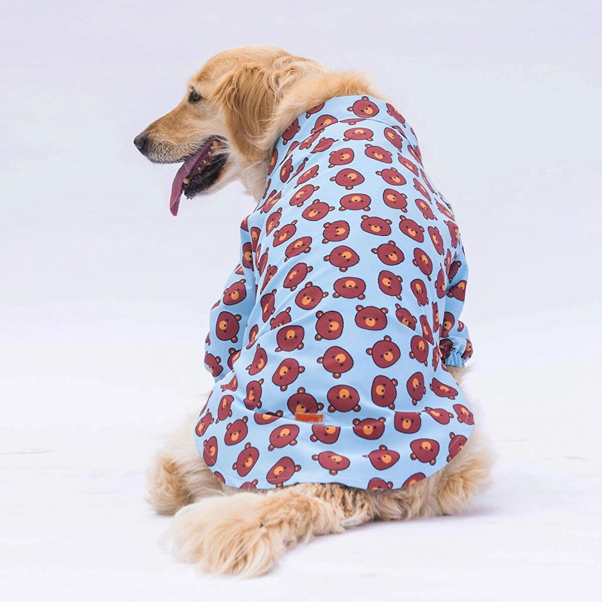 Pawstar Bear Orta-Büyük Irk Köpek Gömleği