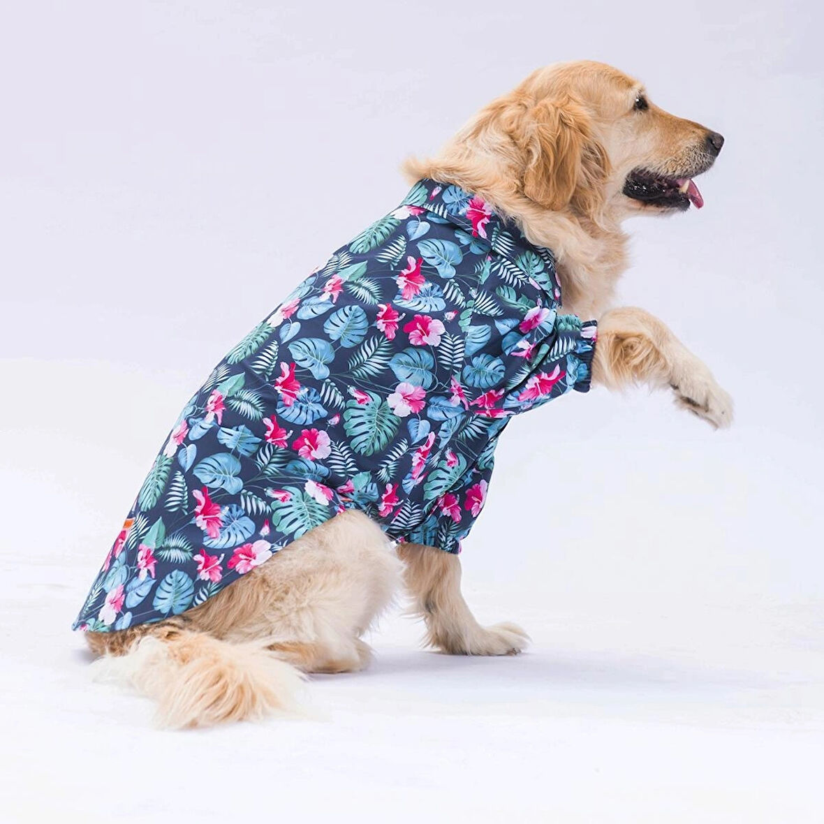 Pawstar Çiçekli Orta-Büyük Irk Köpek Gömleği