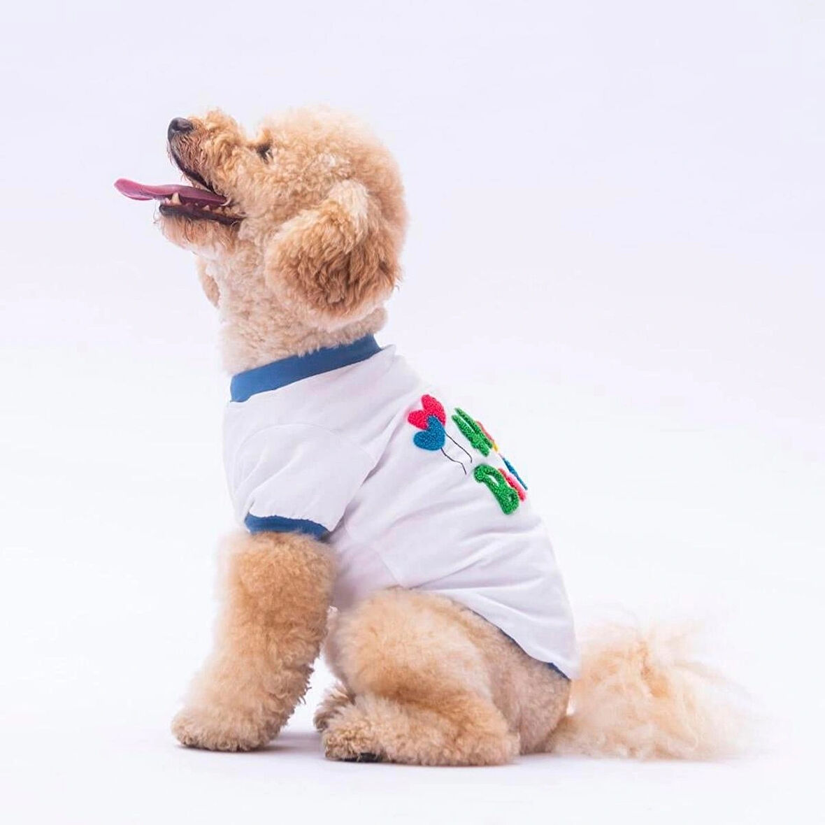 Pawstar Happy Birthday Küçük Irk Köpek Penye T-shirtü