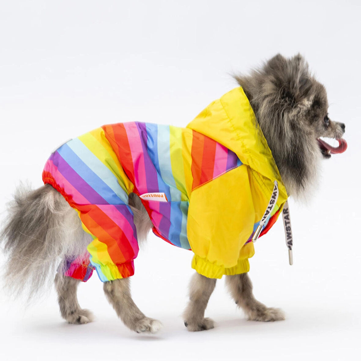 Pawstar Peru Polarlı Su Geçirmez Küçük Irk Köpek Yağmurluk Tulum