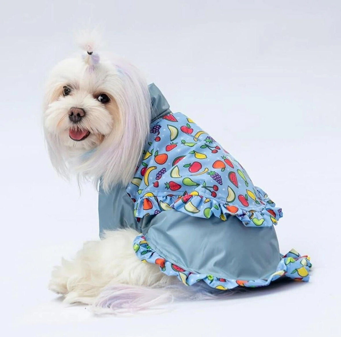 Pawstar Gri Victoria Polarlı Su Geçirmez Küçük Irk Köpek Yağmurluğu