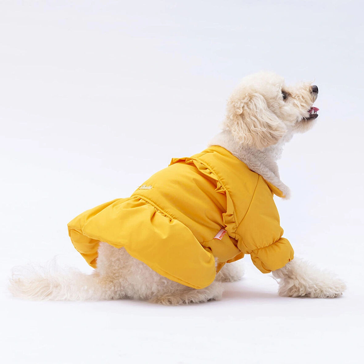 Pawstar Sarı Elizabeth Polarlı Su Geçirmez Küçük Irk Köpek Yağmurluğu