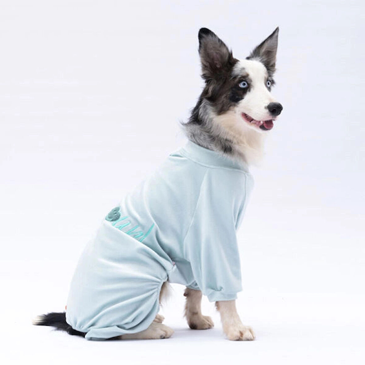 Pawstar Mint Bonjour Kadife Orta-Büyük Irk Köpek Tulumu