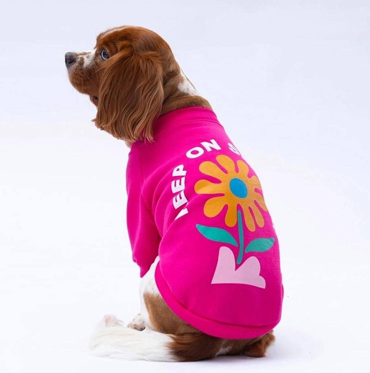 Pawstar Pembe Lahti Polarlı Küçük Irk Köpek Sweatshirtü