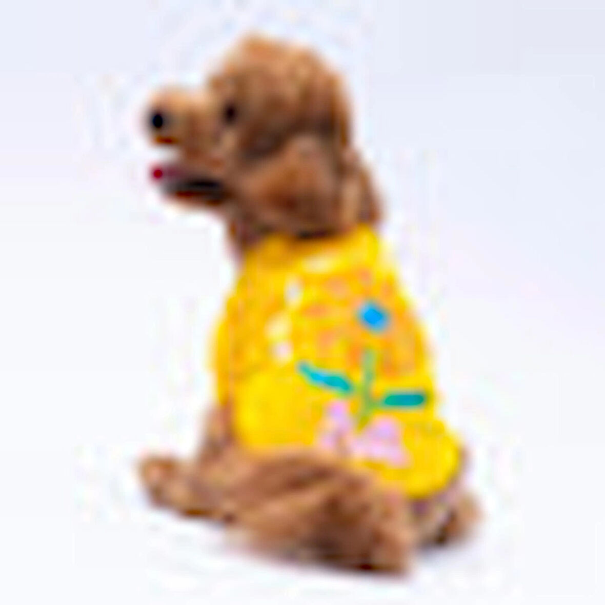 Pawstar Sarı Lahti Polarlı Küçük Irk Köpek Sweatshirtü