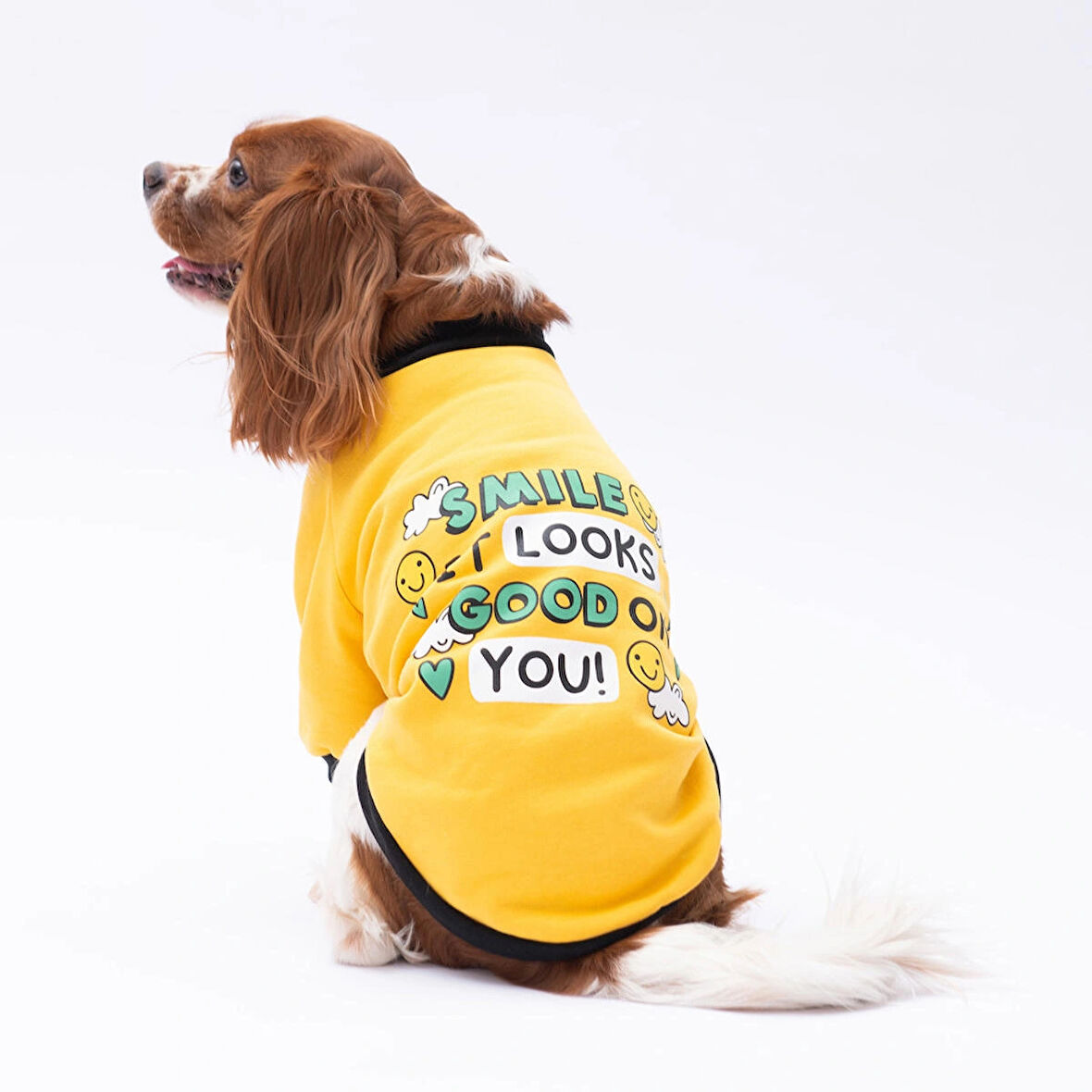 Pawstar Yellow Loviisa Polarlı Küçük Irk Köpek Sweatshirtü